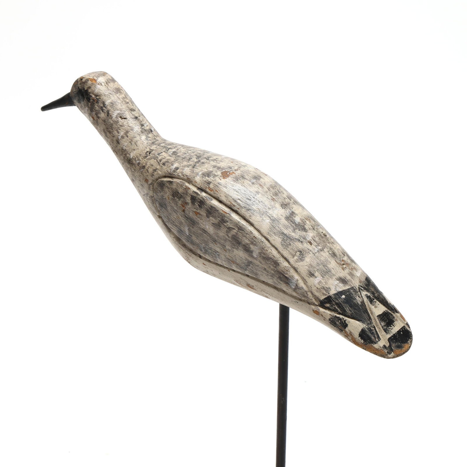 Early Cape Cod Yellowlegs - 6