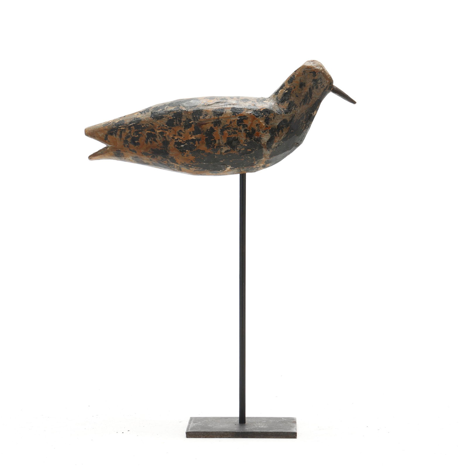 Early New Jersey Black Bellied Plover (1 of 7)