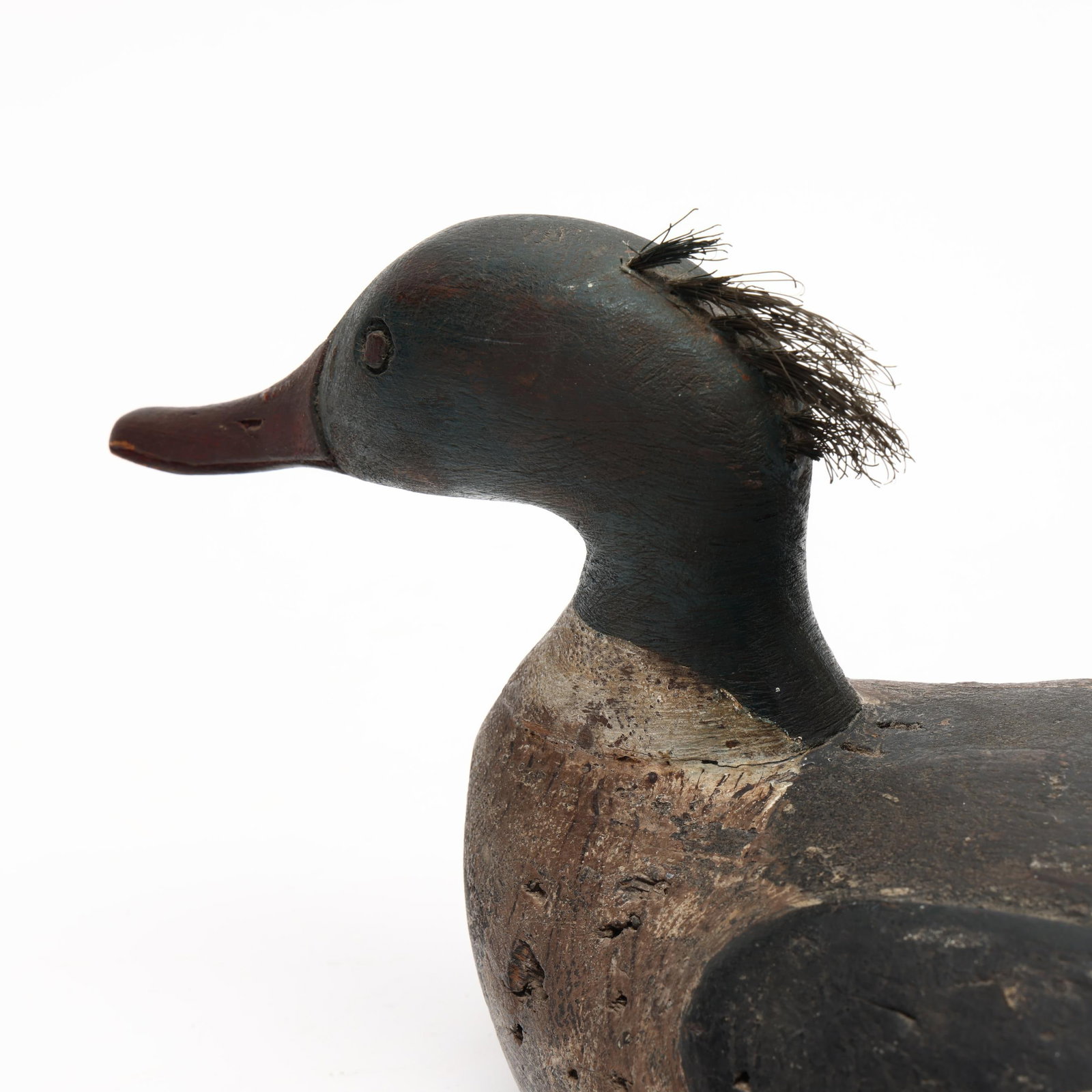 Preston Wright (MA), Merganser - 5