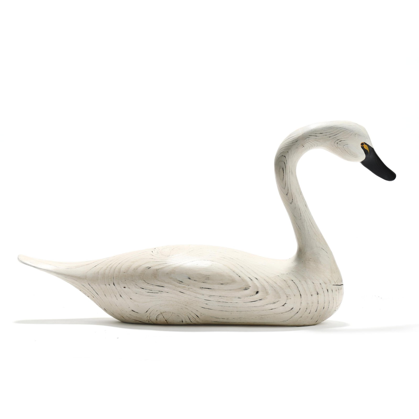 Charles Jobes (MD), Swan (1 of 8)