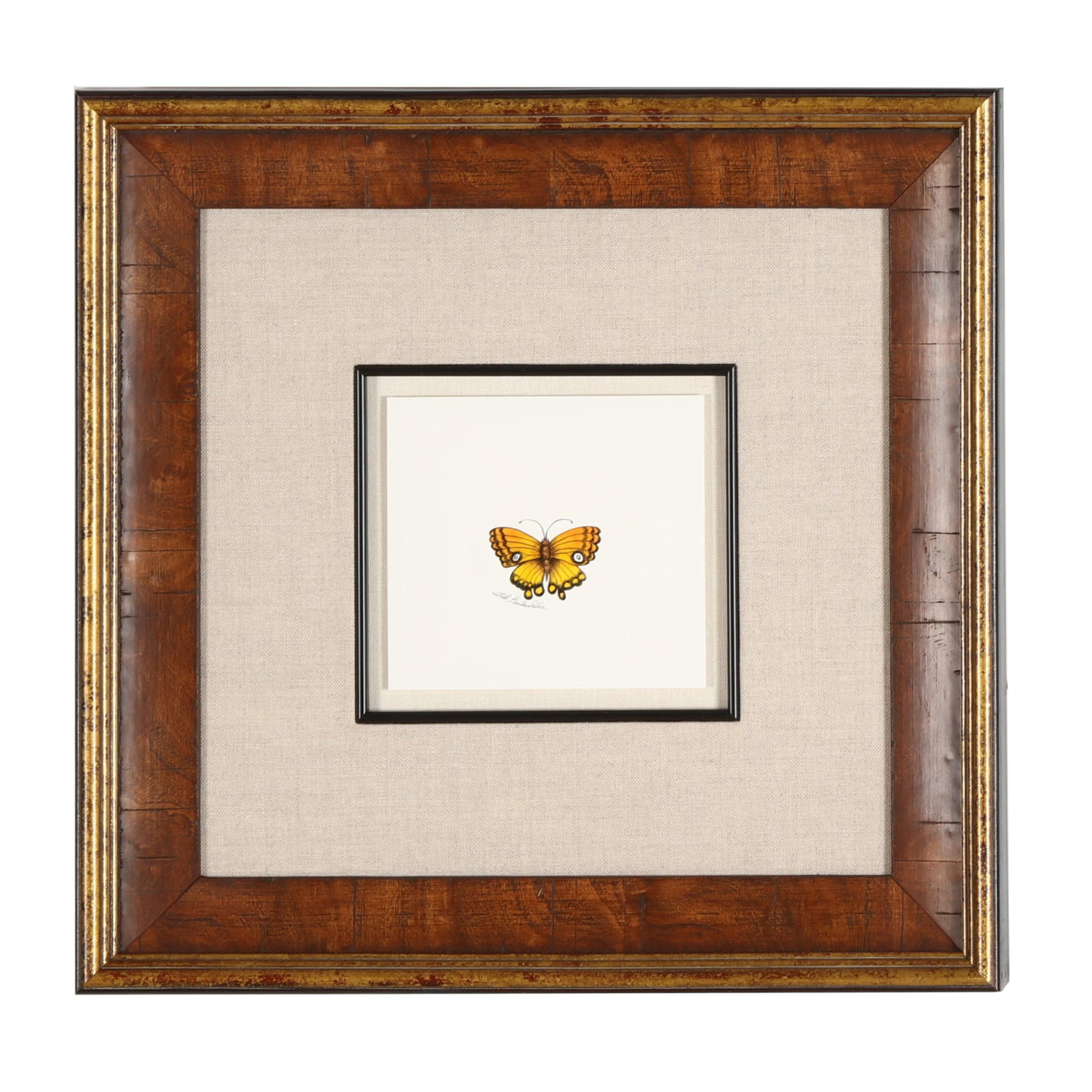 Bob Timberlake (NC, b. 1937), Yellow Butterfly: Bob Timberlake (NC, b. 1937), Yellow Butterfly watercolor on paper, pencil signed, with artist's label to verso, float mounted and presented under UV glass in a handsome gilt and burlwood frame. Frame