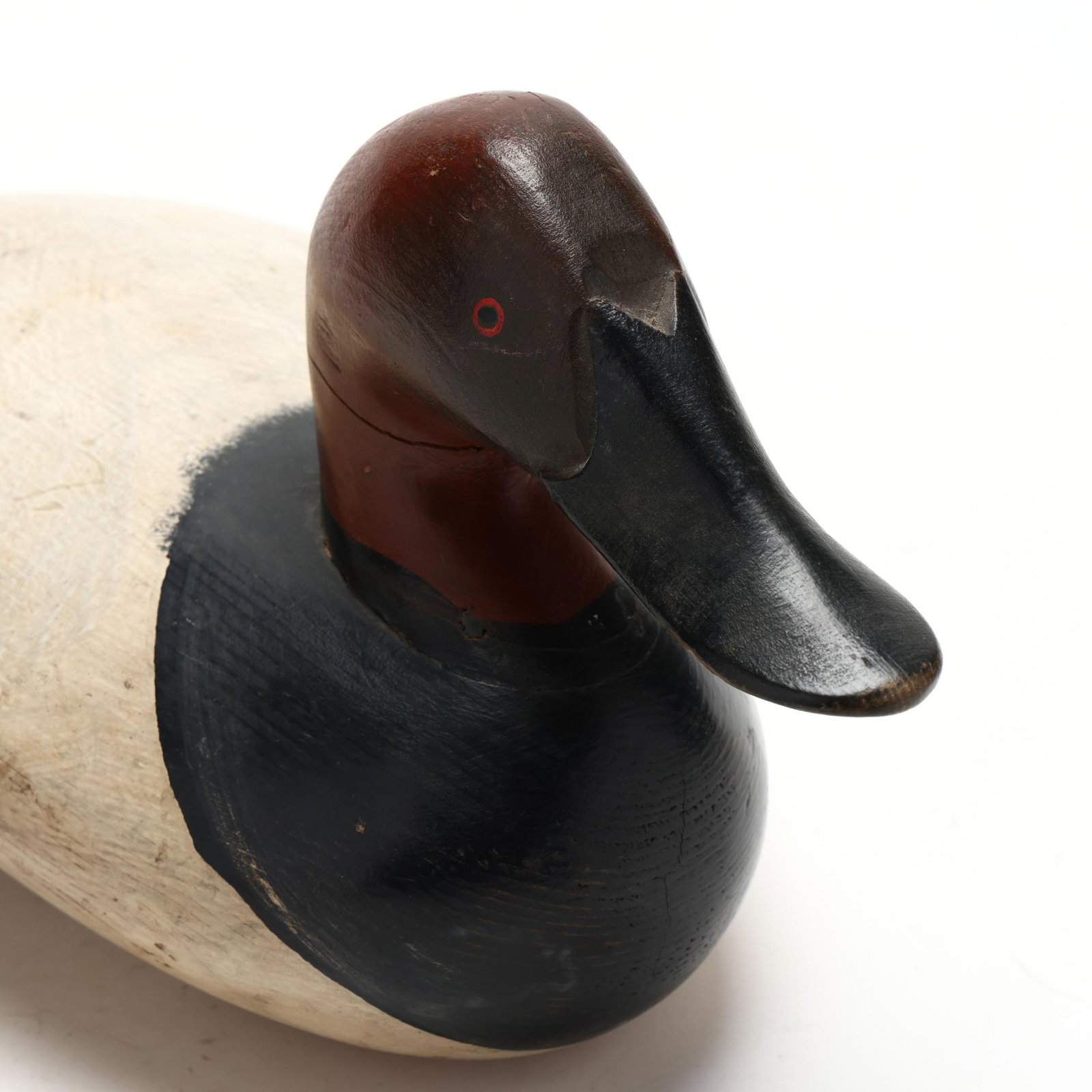 Early Upper Bay Canvasback - 4
