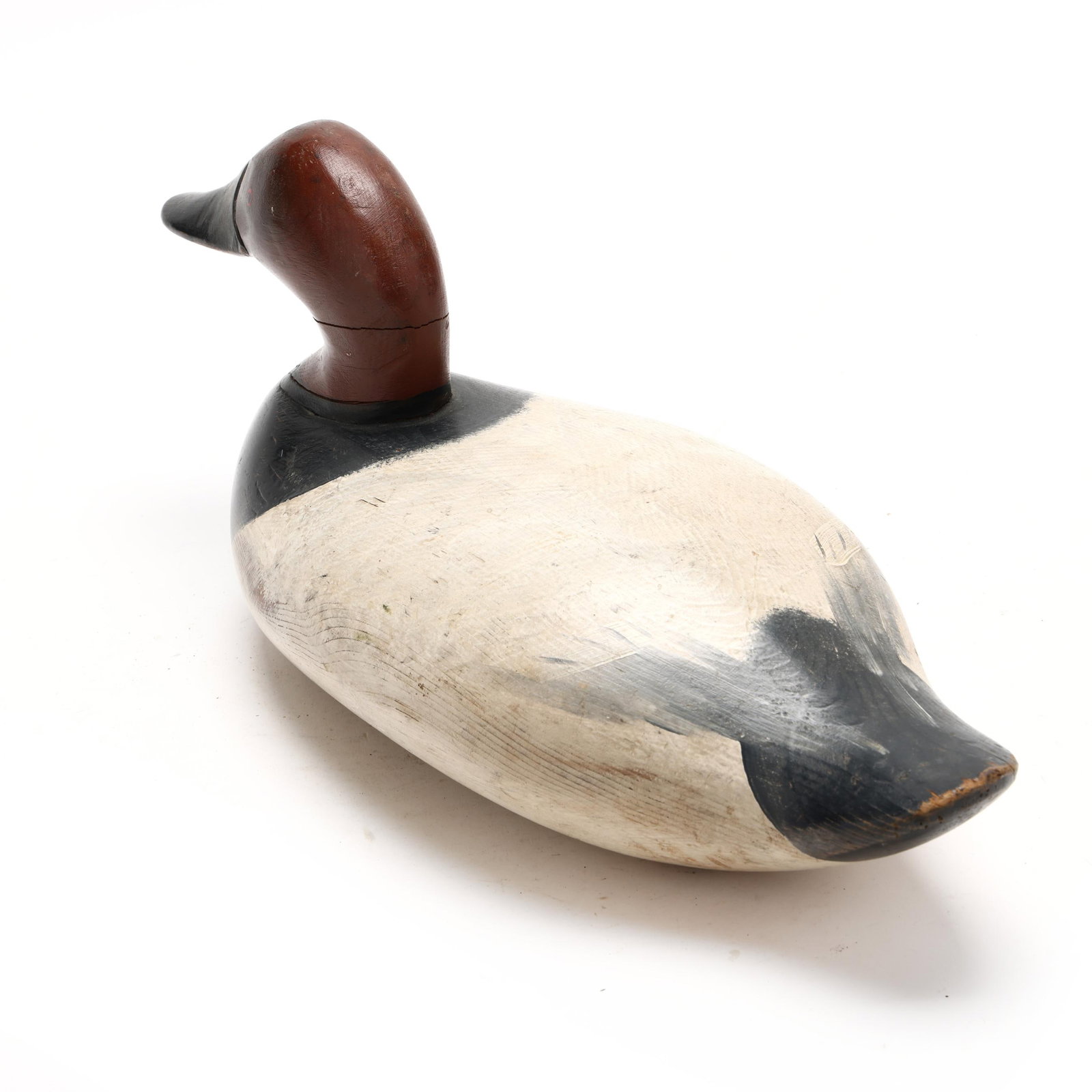 Early Upper Bay Canvasback - 6