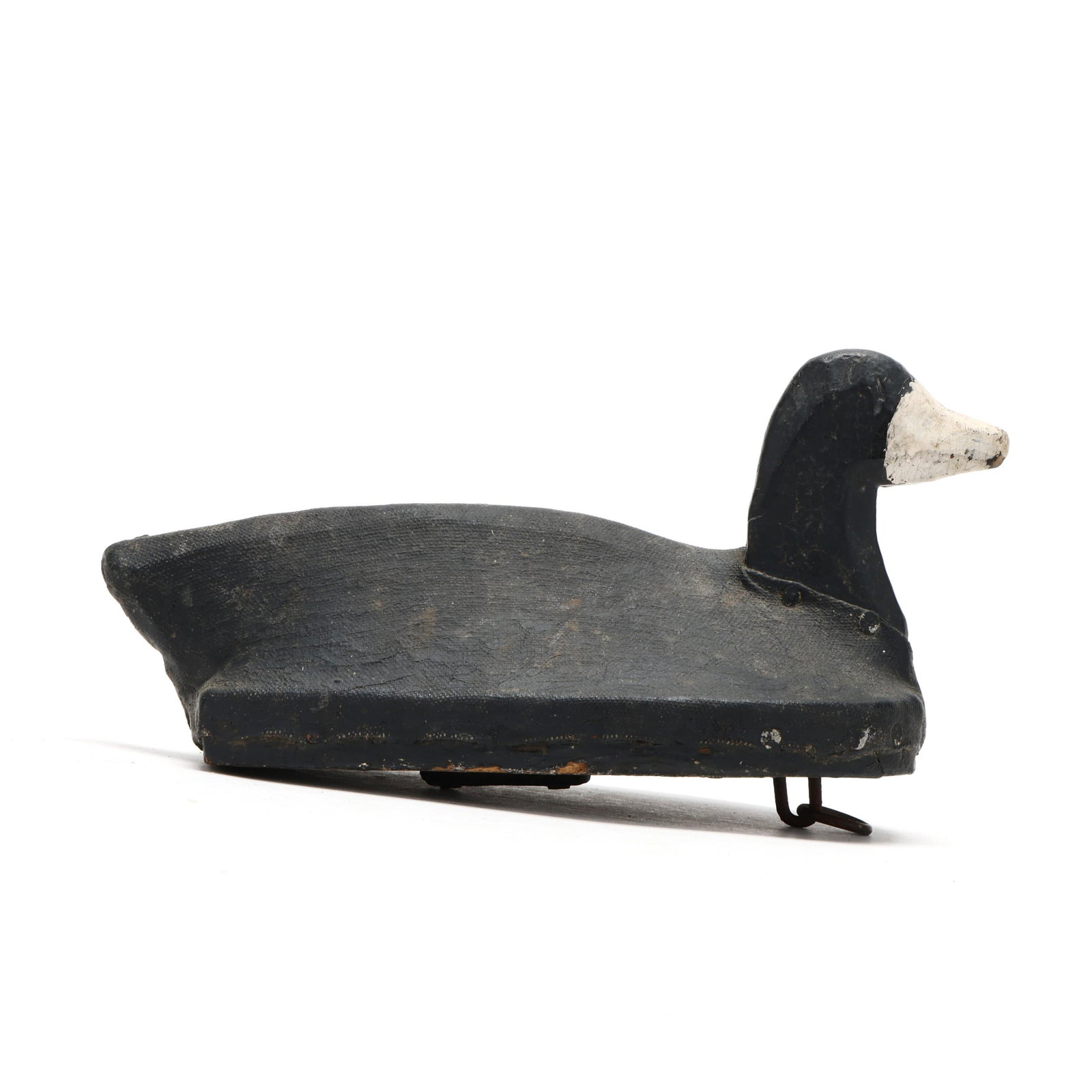 M. R. Mathais (VA), Coot (1 of 7)