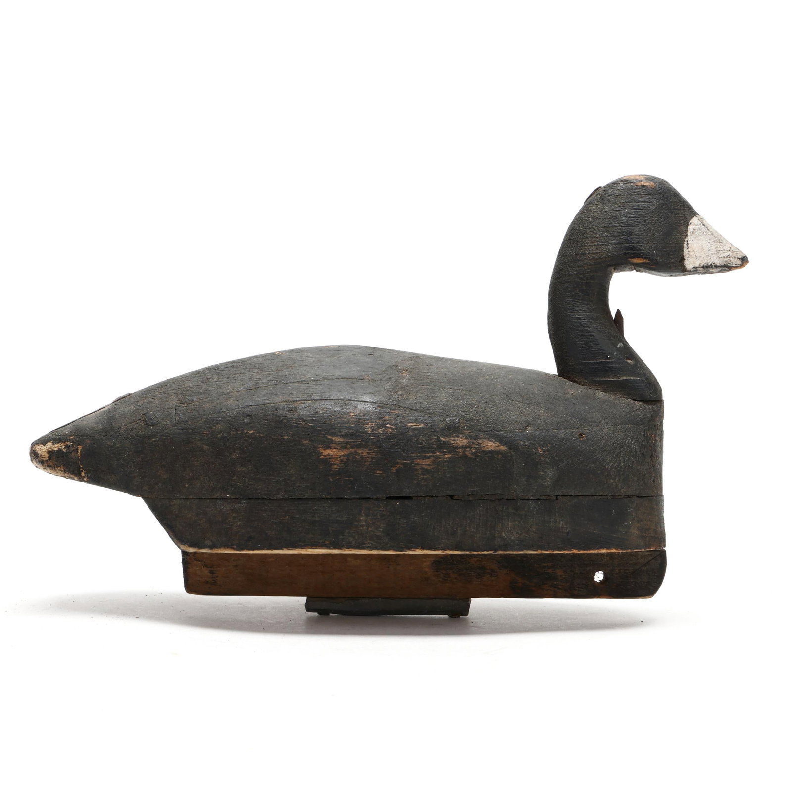 Will Kight (NC, 1897-1977), Coot (1 of 7)