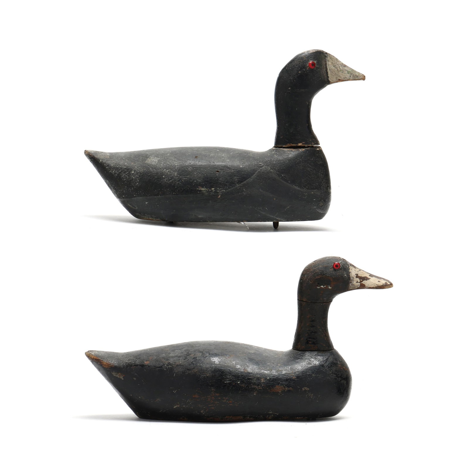 Early Wisconsin Pair of Coots (1 of 9)