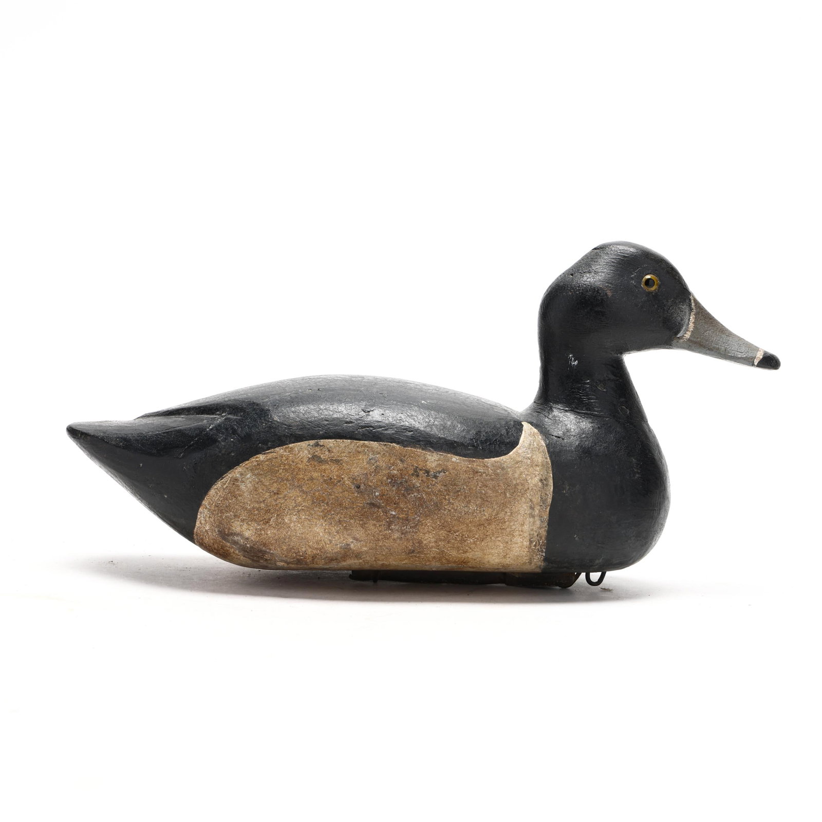 Early Louisiana Ring Neck (1 of 7)