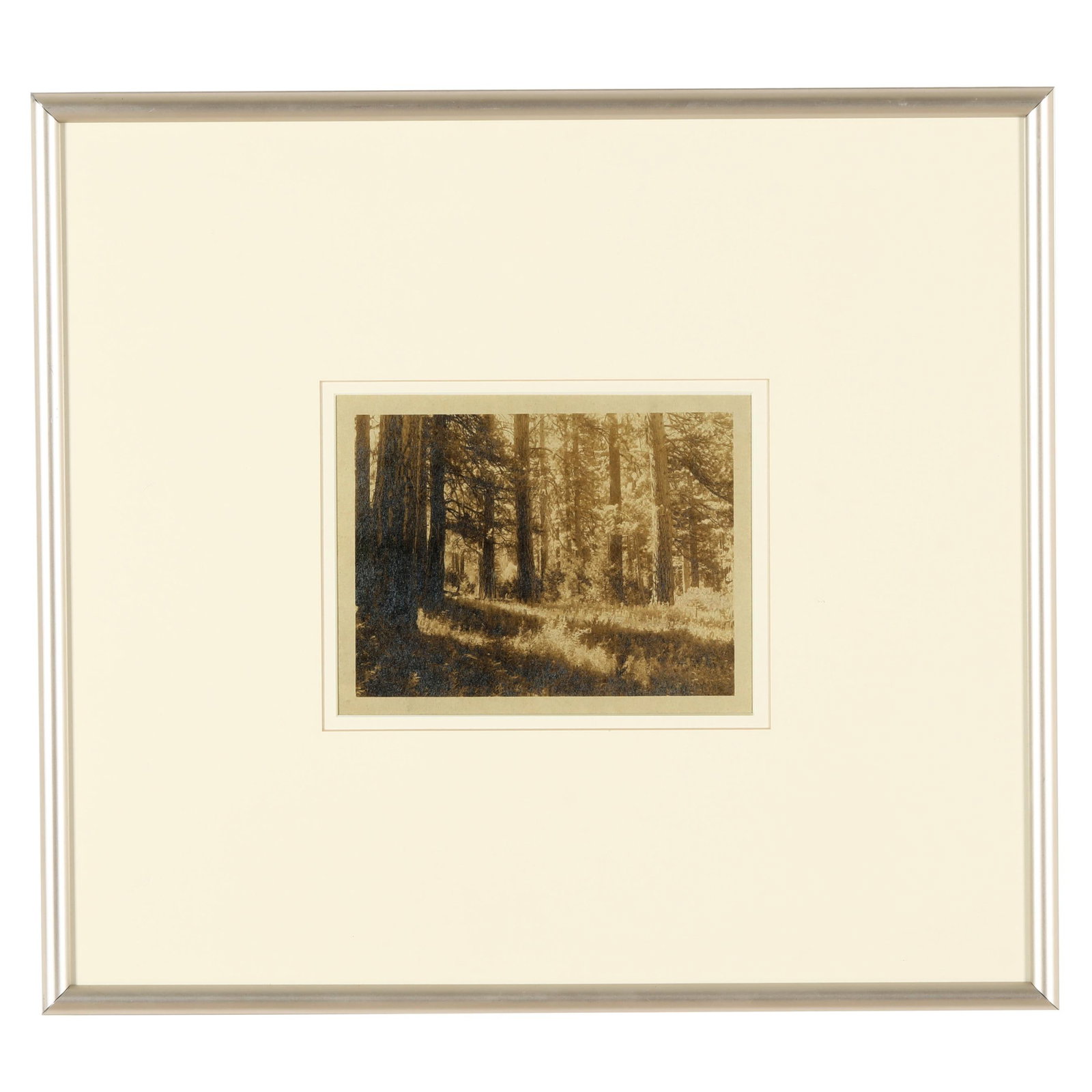 Ansel Adams (American, 1902-1984), At Simpson Meadow: Ansel Adams (American, 1902-1984), At Simpson Meadow vintage gelatin silver print, circa 1925, artist signed and inscribed in ink to verso "At Simpson Meadow / With Best Wishes and Kind Regards, Ansel