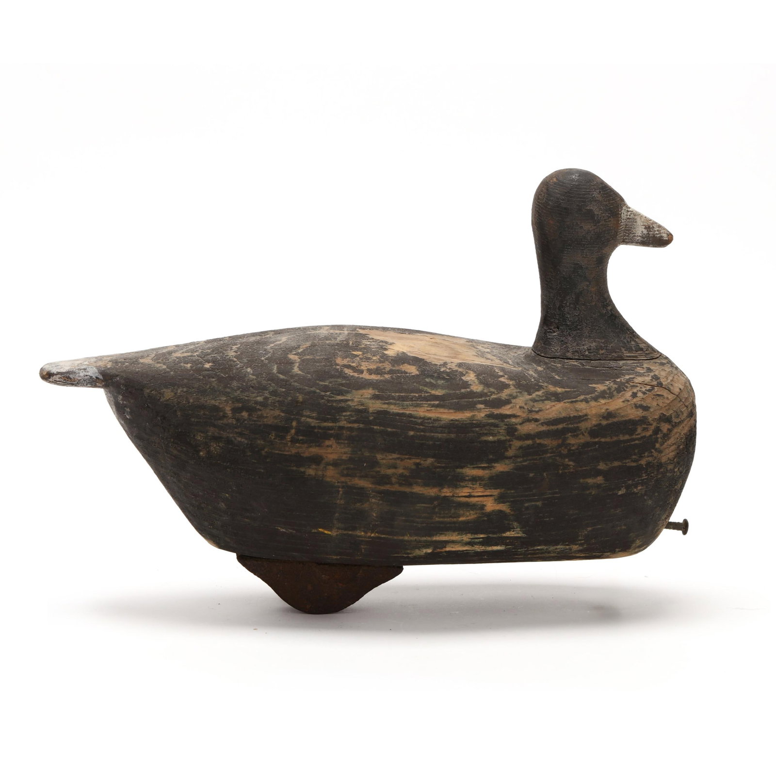 George Waterfield (NC, 1885-1926), Coot (1 of 7)