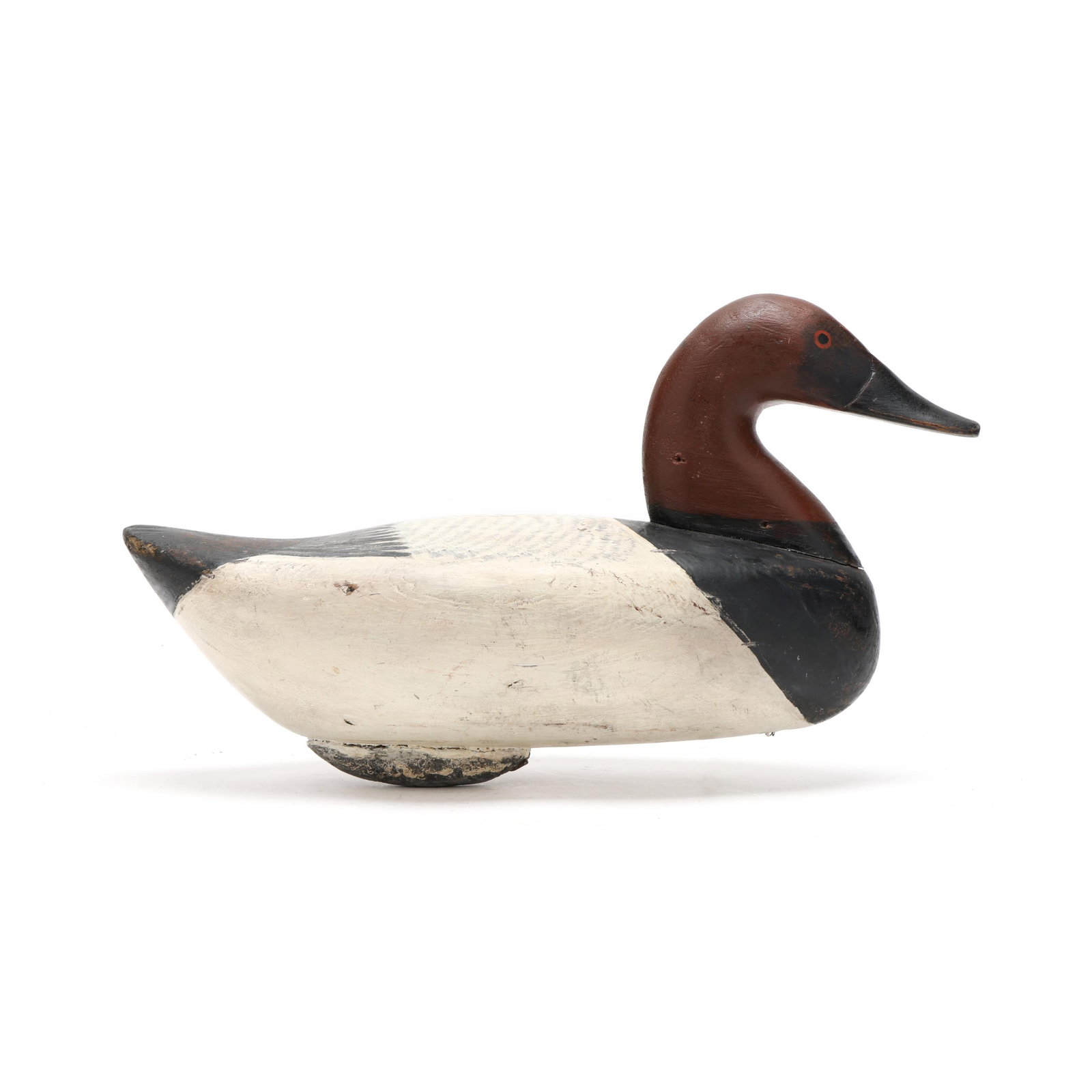 August Heinefeld (MD, 1883-1952), Canvasback (1 of 8)