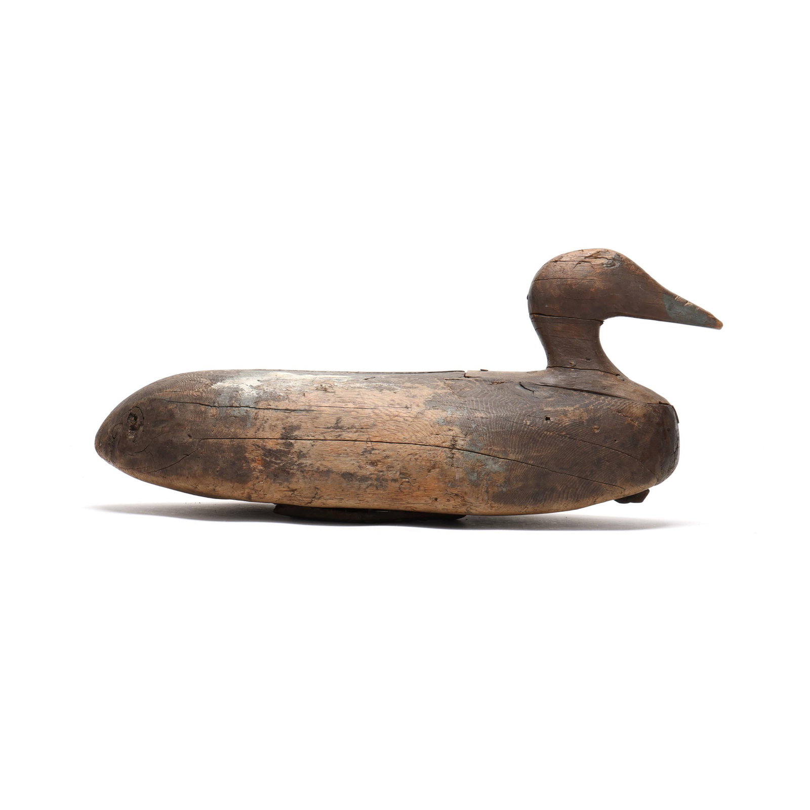 Early Hen Eider with Horseshoe Ballast (1 of 7)
