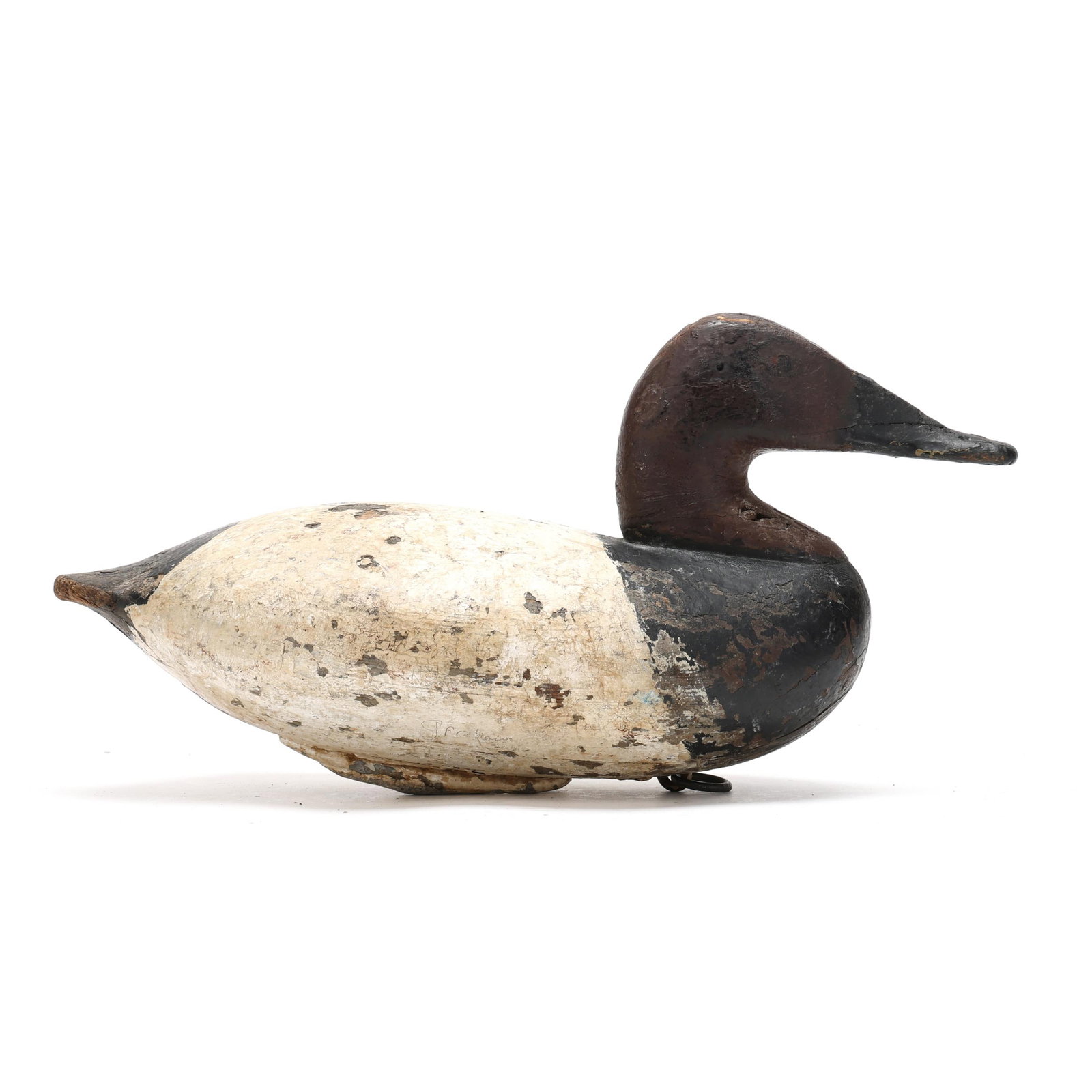 John Graham (MD,1822-1912), Canvasback (1 of 8)
