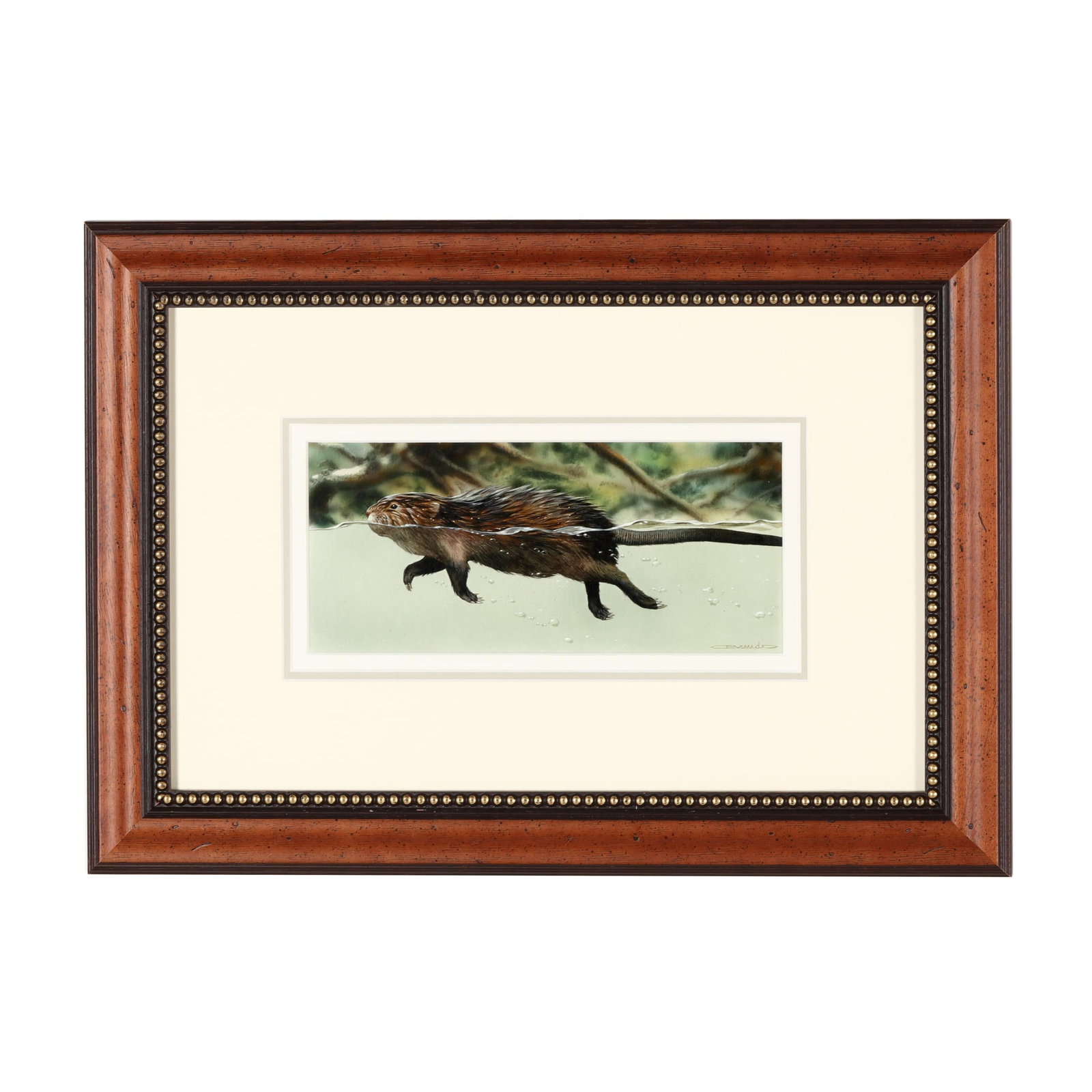 Carl Brenders (Belgian American, b. 1937), Muskrat Swimming: Carl Brenders (Belgian American, b. 1937), Muskrat Swimming mixed media on paper, signed at lower right, matted and framed under glass. Sight size 4 x 8 3/4 in.; Frame dimensions 12 x 17 in. This orig