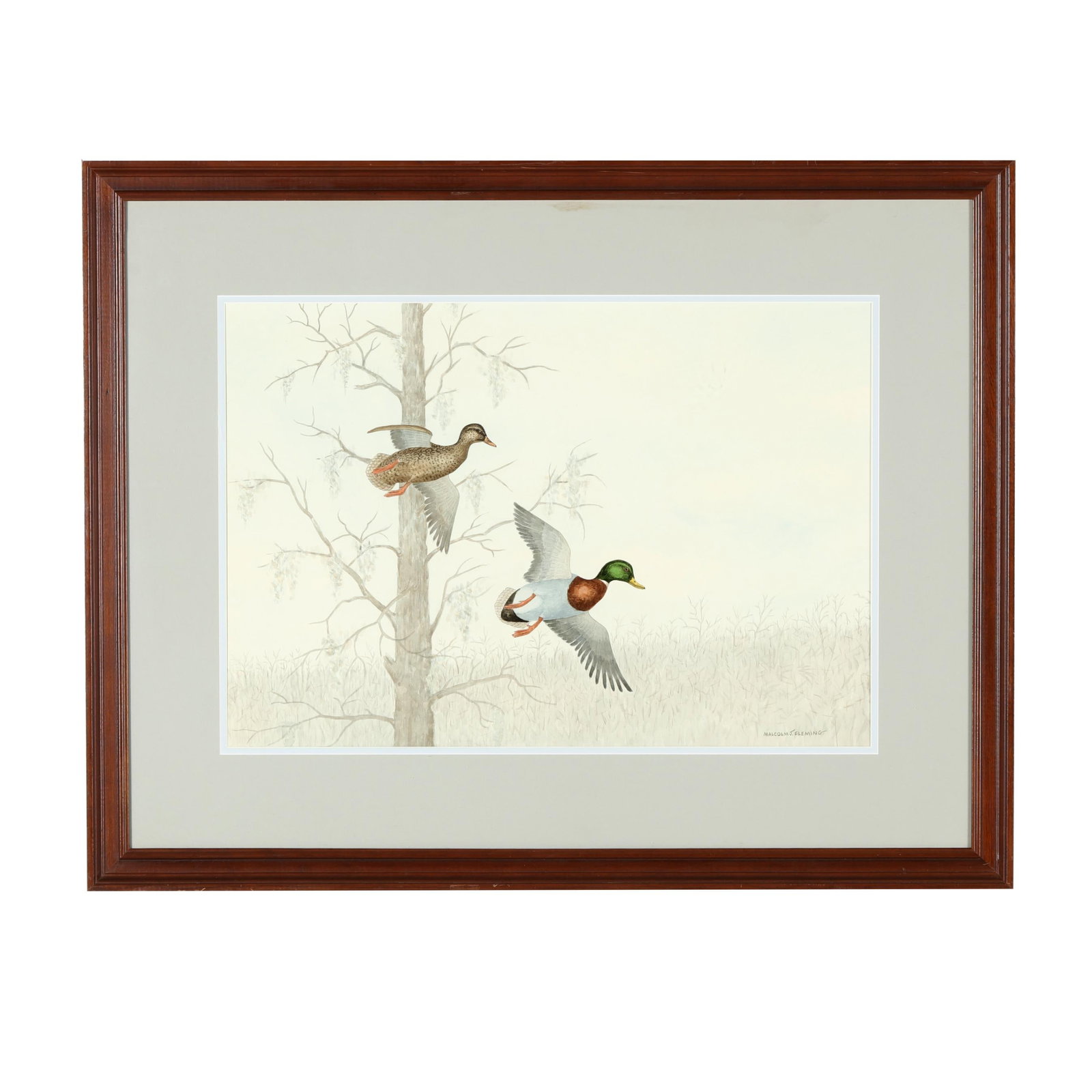 Malcolm J. Fleming (American, 1913-1993), Mallards in Flight: Malcolm J. Fleming (American, 1913-1993), Mallards in Flight watercolor on paper, signed at lower right, matted and framed under glass. Sight size 16 3/4 x 24 in.; Frame dimensions 27 1/2 x 38 in. Ori