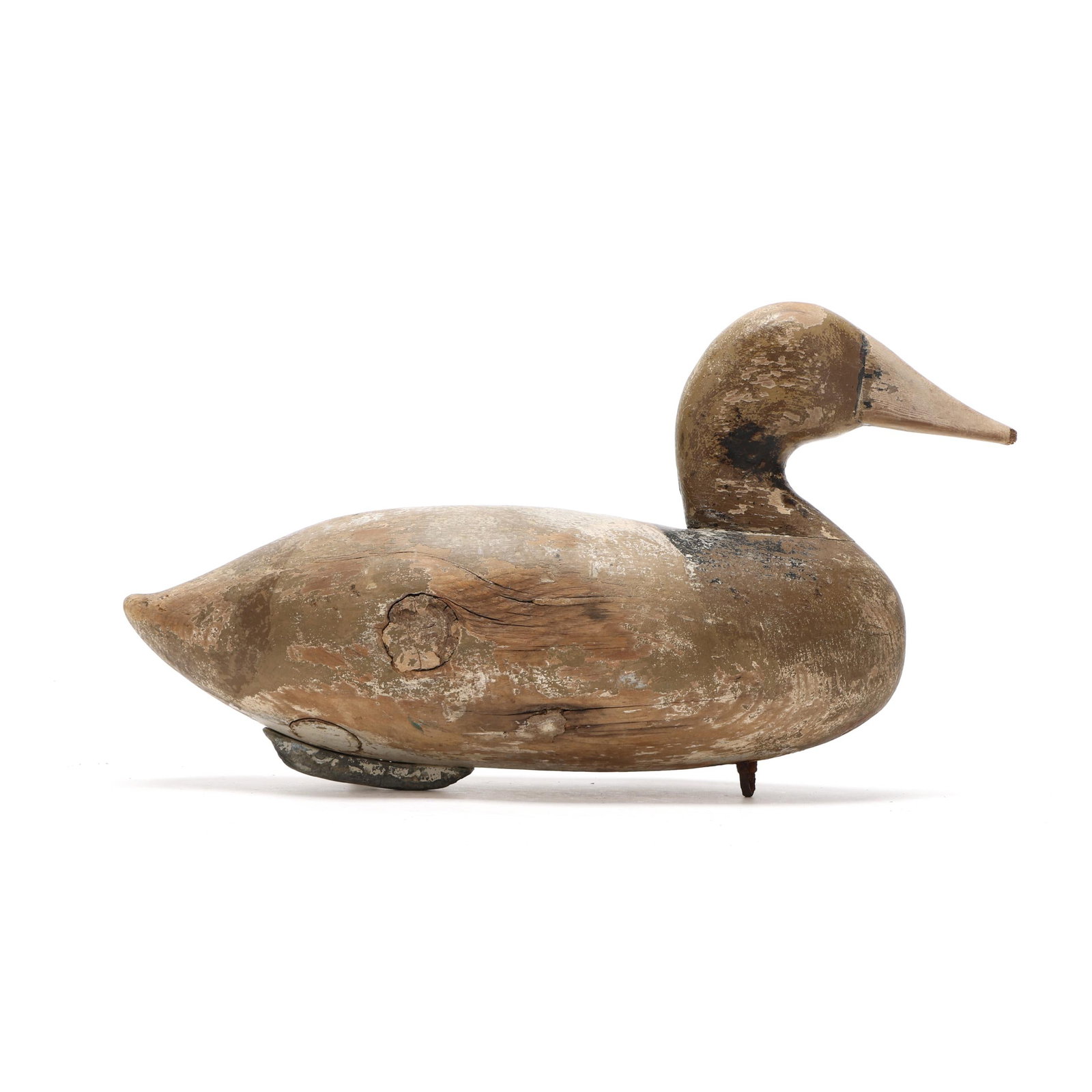 Cockey Family (MD), Hen Canvasback: Cockey Family (MD), Hen Canvasback Kent Island, Maryland, circa 1950s, carved and painted wood. Length 14.75 in. x 8 x 6 From a Private Collection donated to benefit the conservation efforts of Ducks 