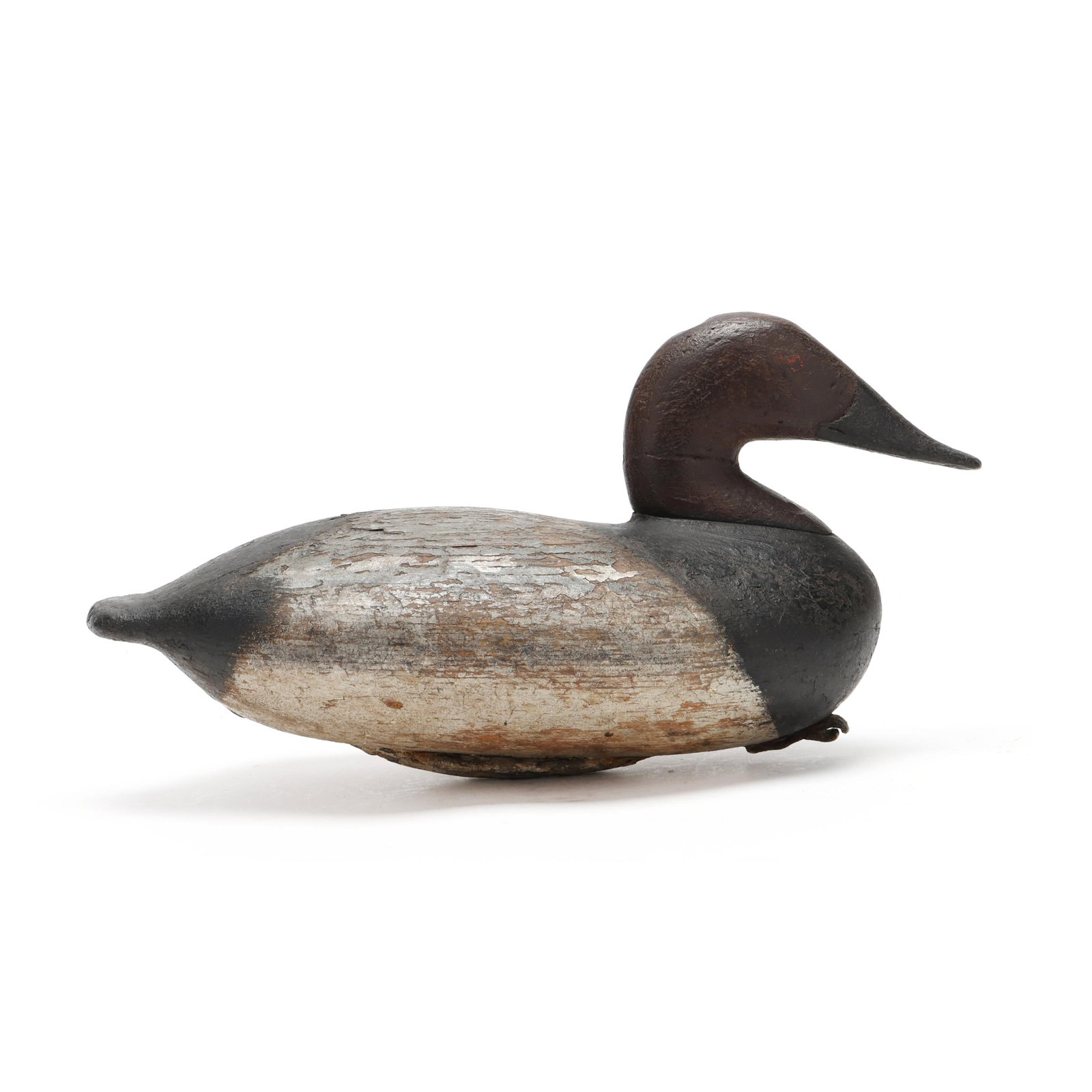 John Graham (MD,1822-1912 ), Canvasback (1 of 7)