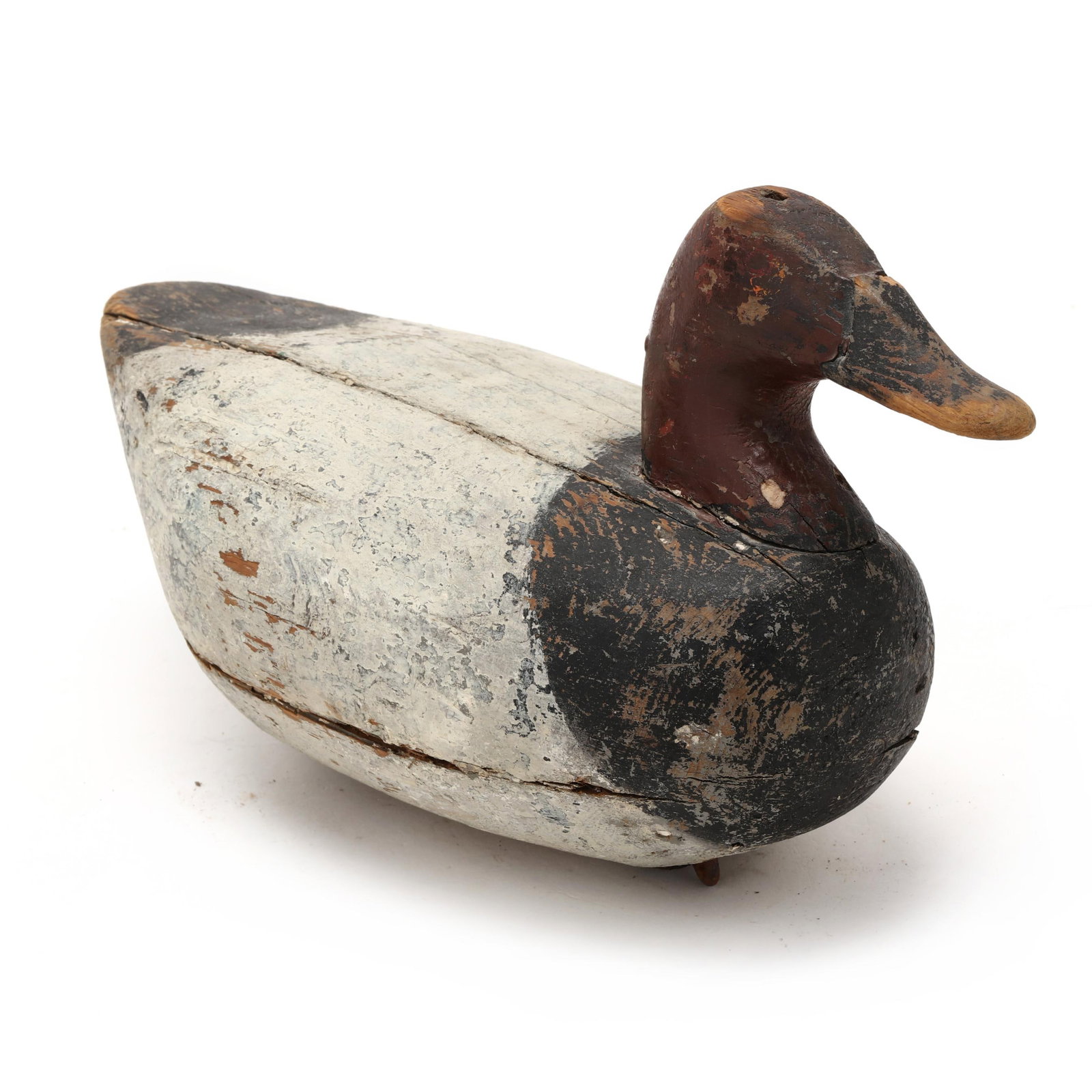 Early Upper Bay Canvasback - 3