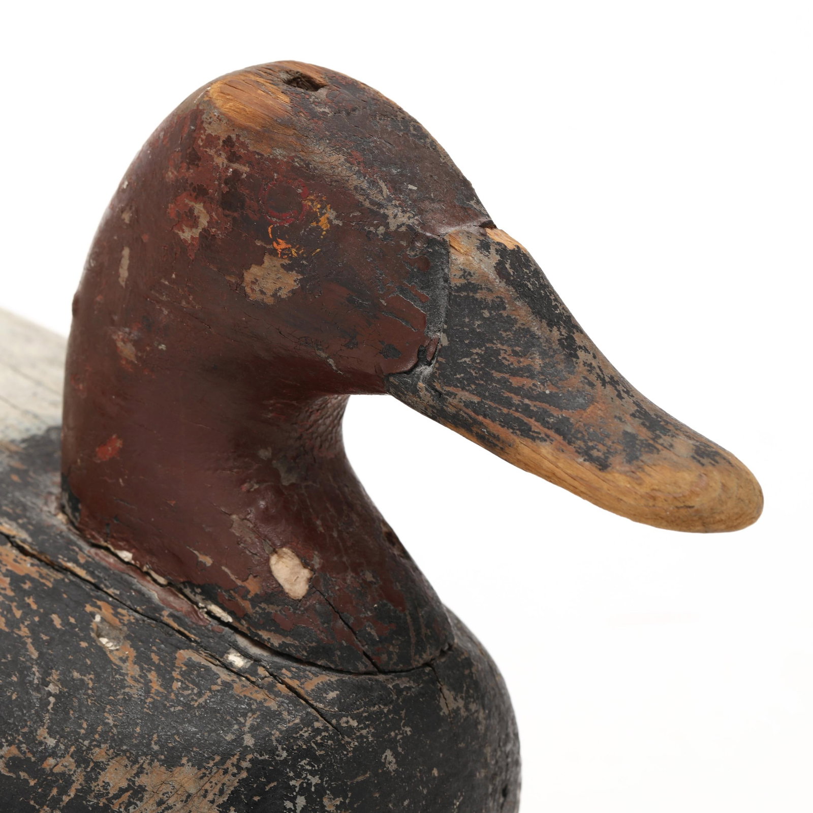 Early Upper Bay Canvasback - 4