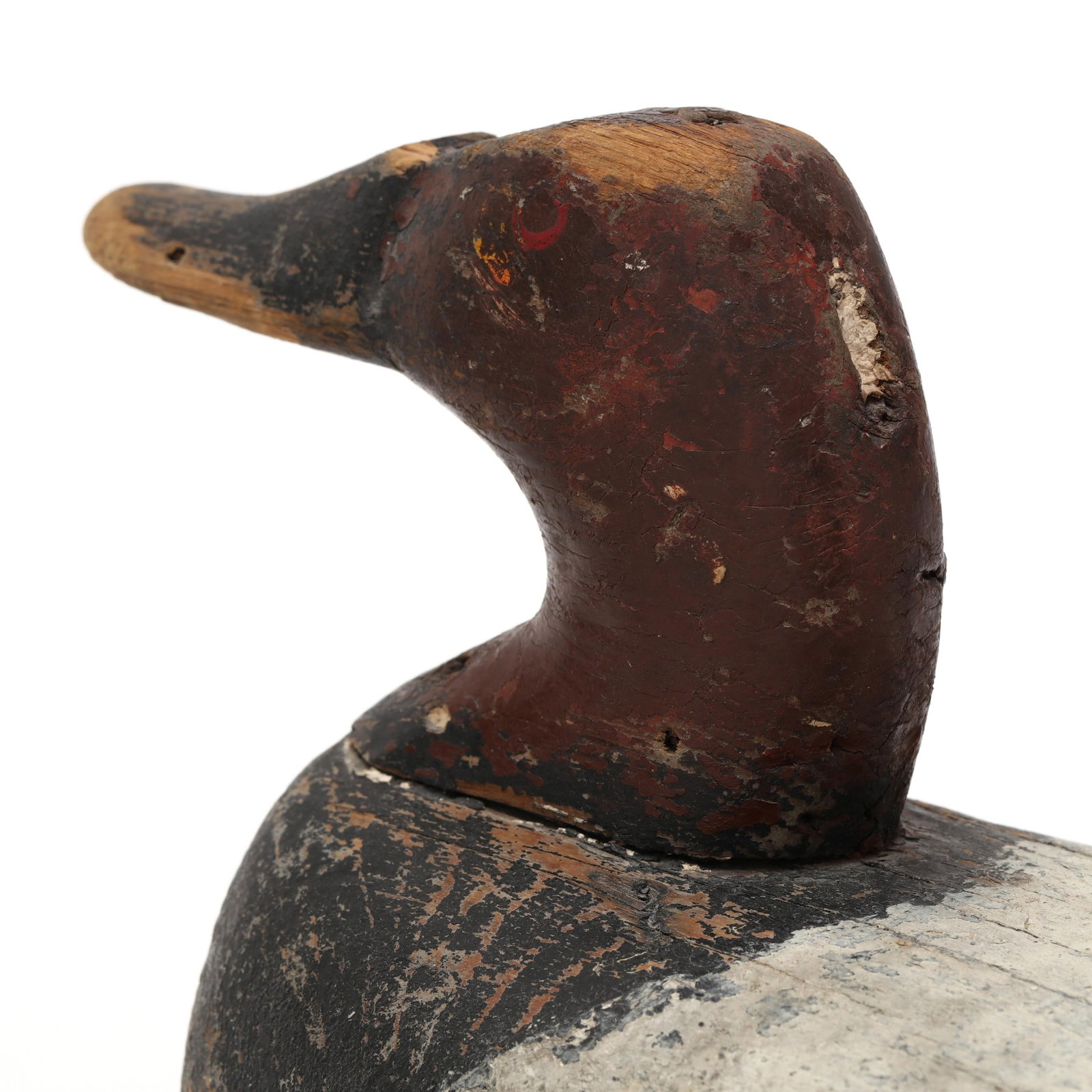 Early Upper Bay Canvasback - 5