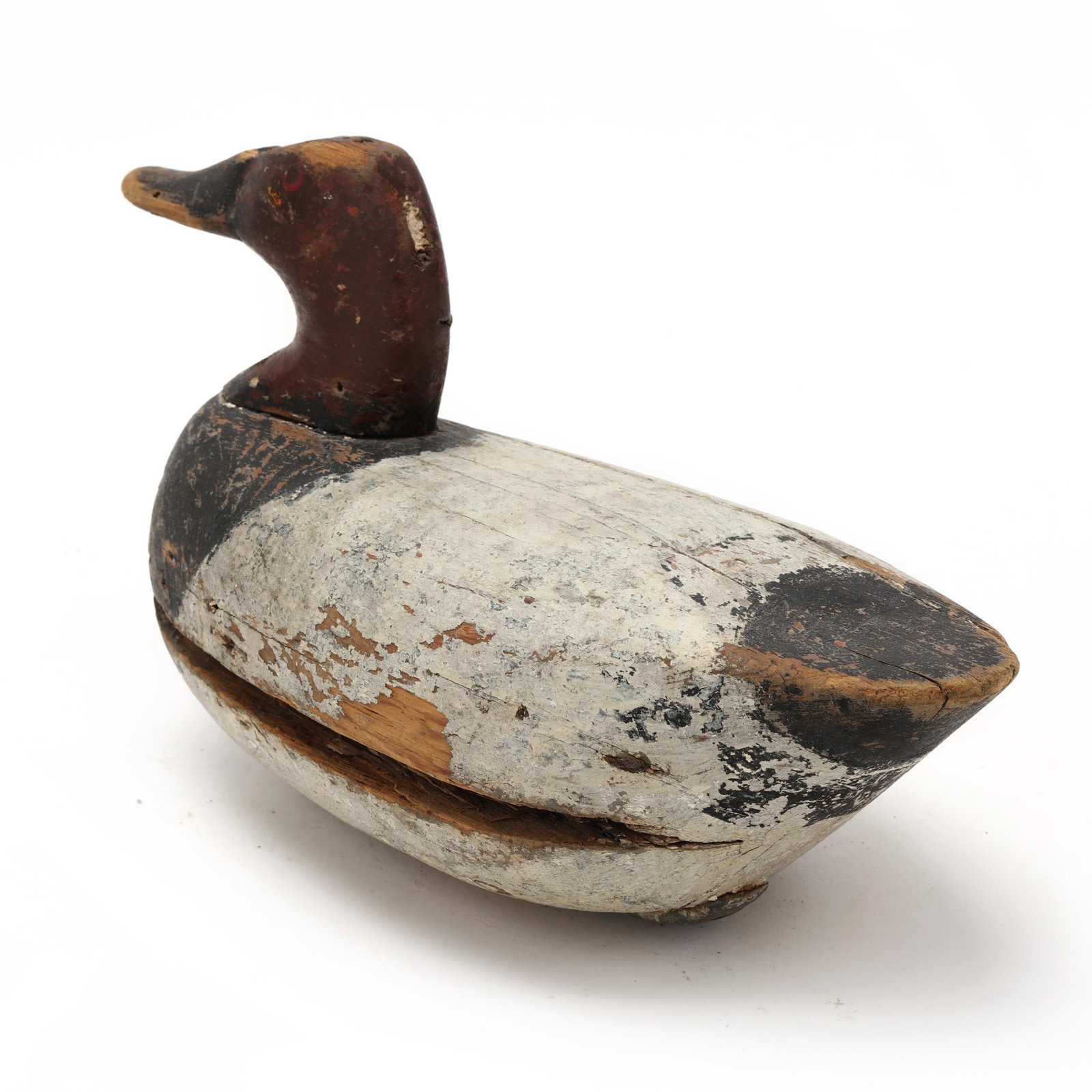 Early Upper Bay Canvasback - 6