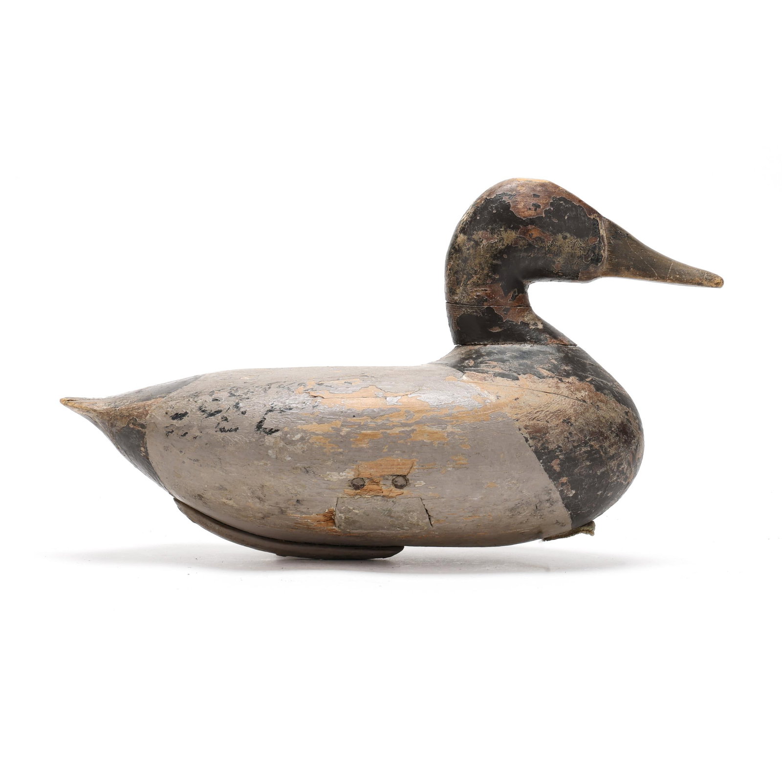 Stanley Evans (MD, 1887-1979), Canvasback (1 of 8)