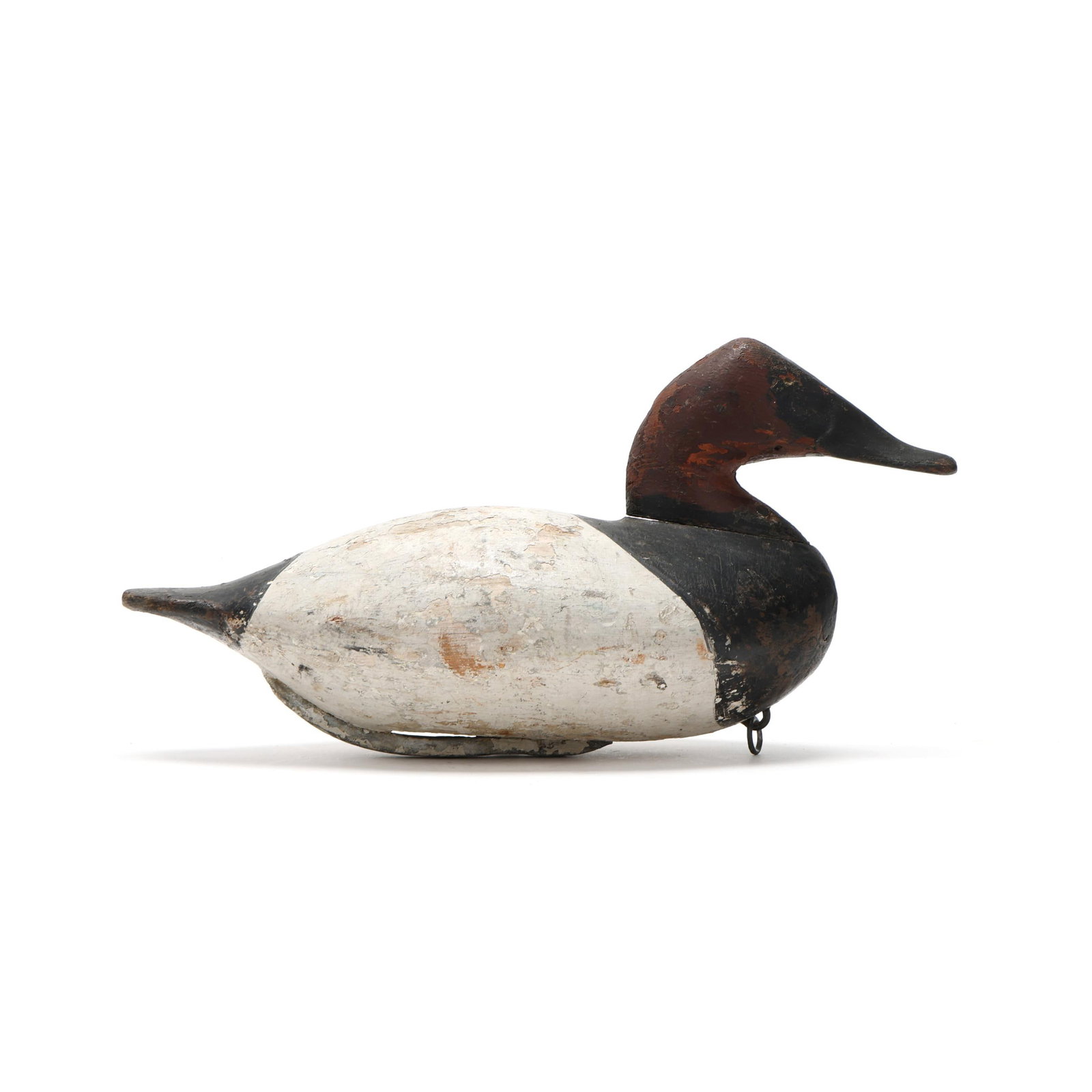 Scott Jackson (MD, 1852-1929), Canvasback (1 of 8)