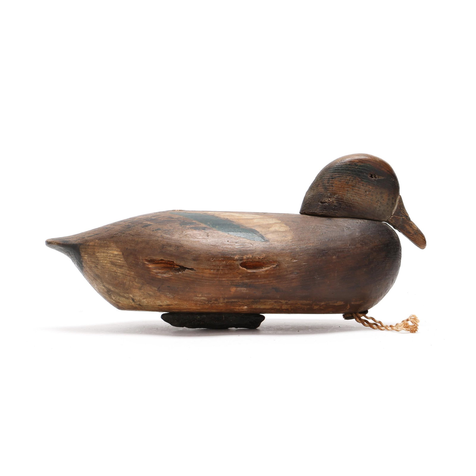 Early Snuggled Head Widgeon Branded BIRD (1 of 8)