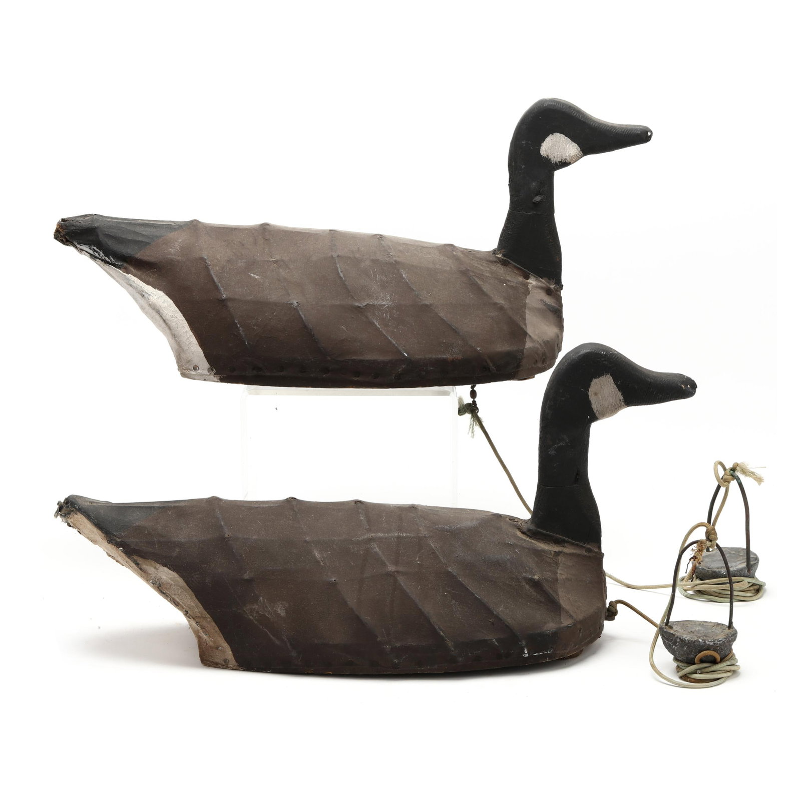 Two Early Core Sound Geese (1 of 11)