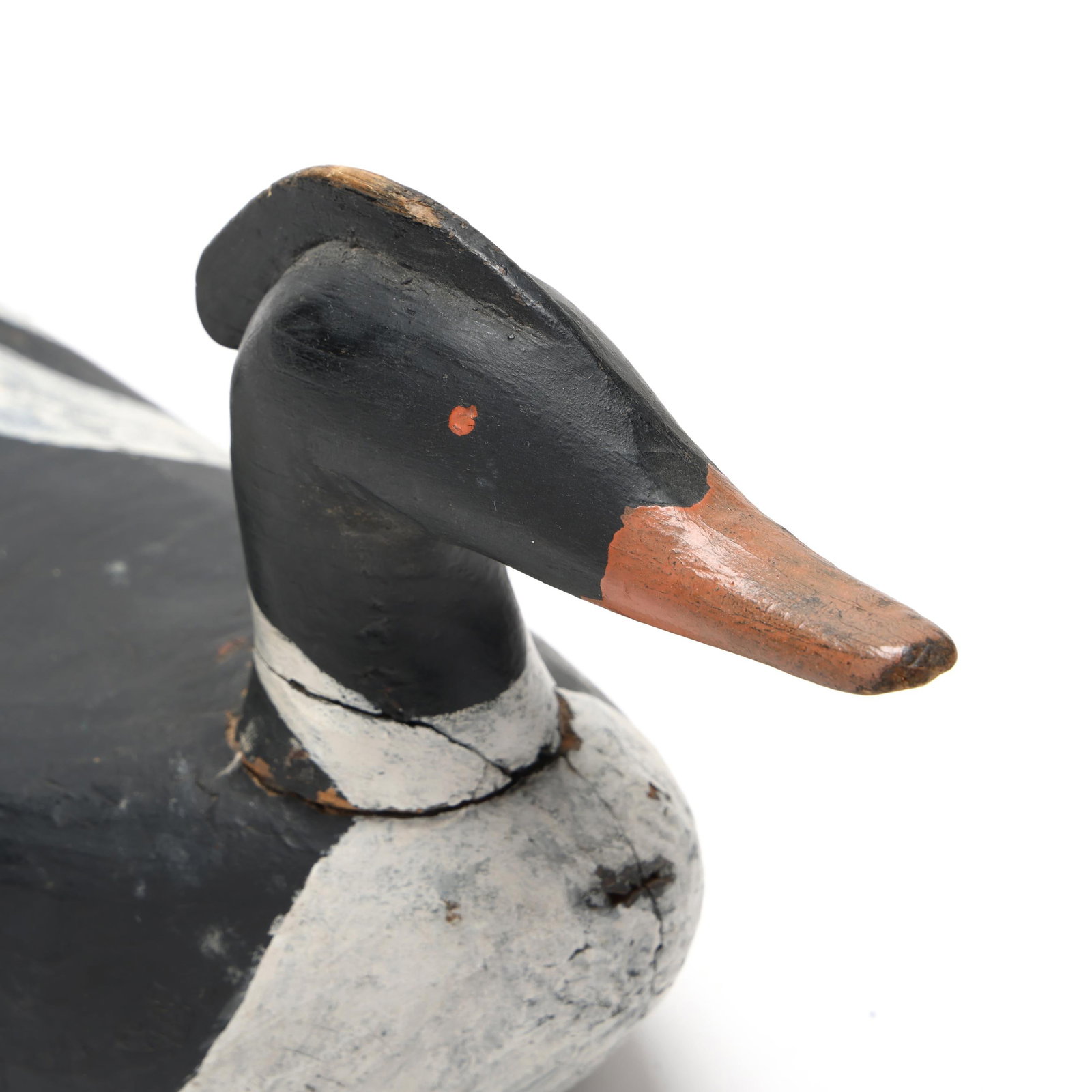 Early Merganser - 4