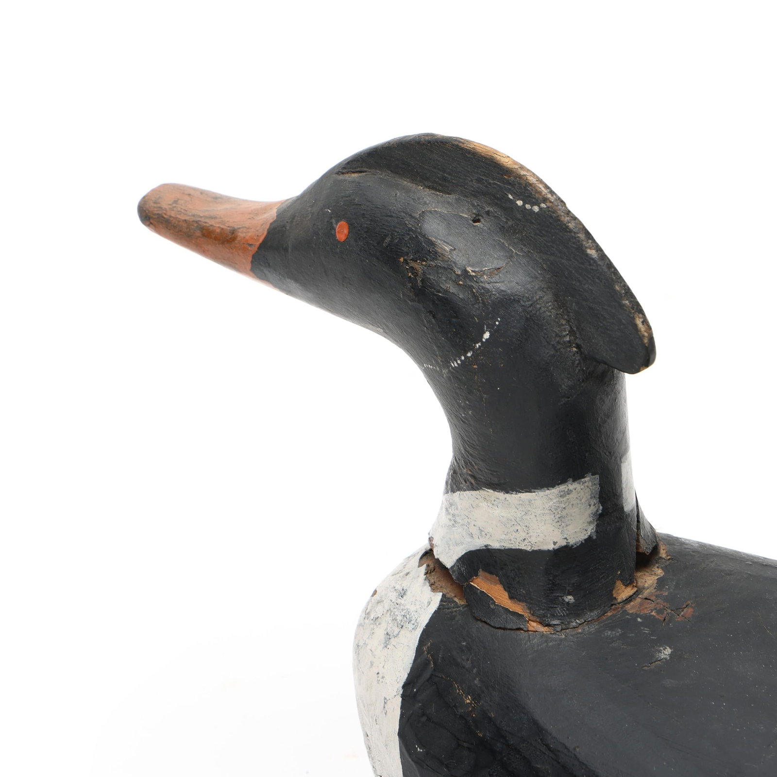Early Merganser - 5