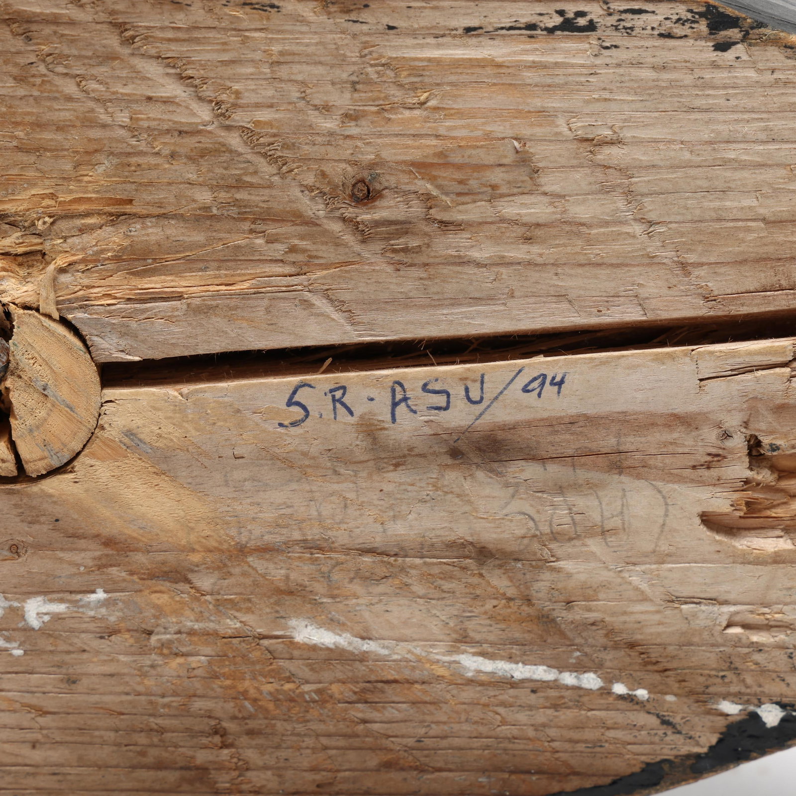 Early Merganser - 7