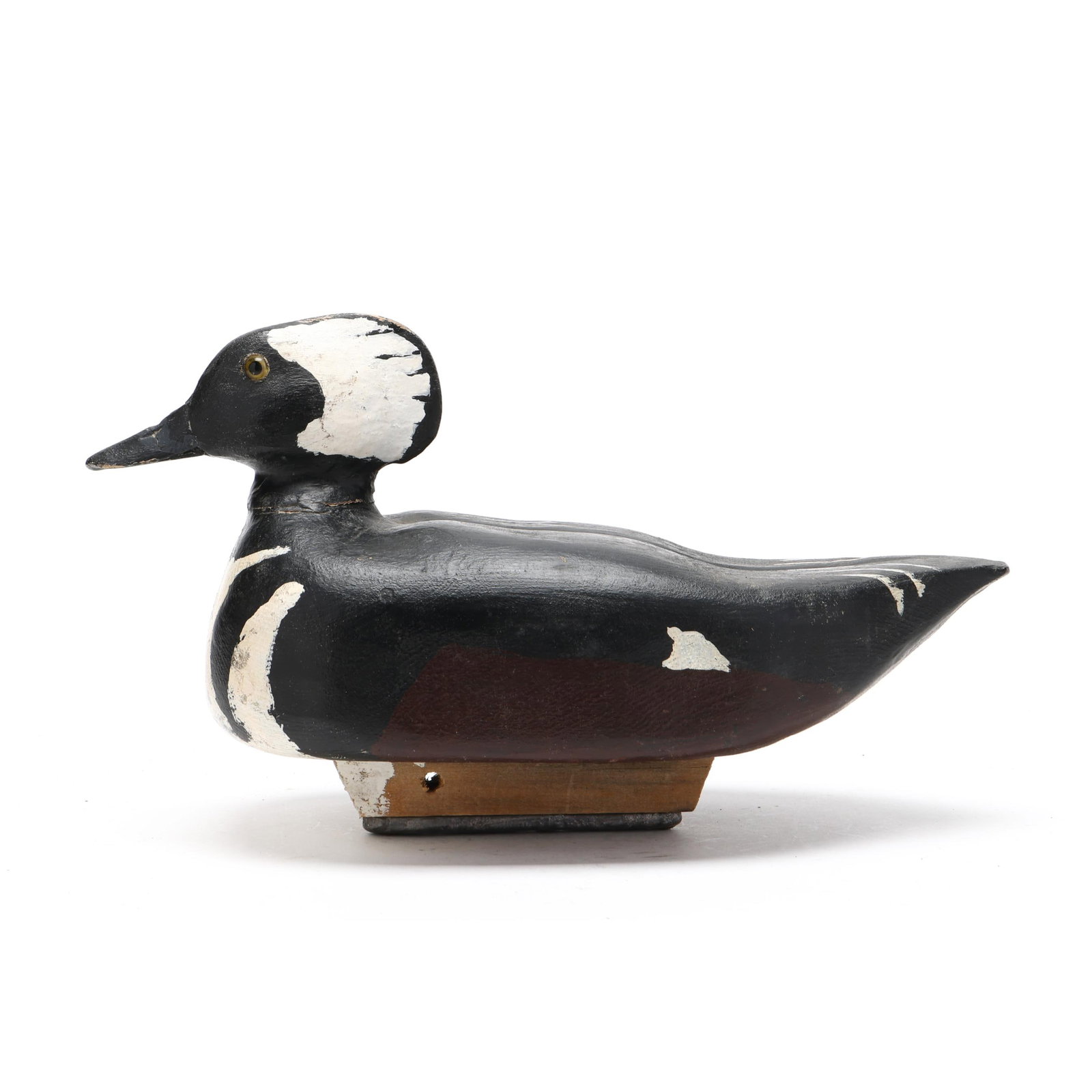 Early Hooded Merganser - 2