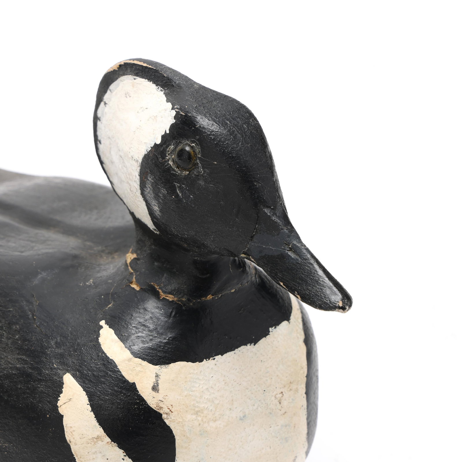 Early Hooded Merganser - 4