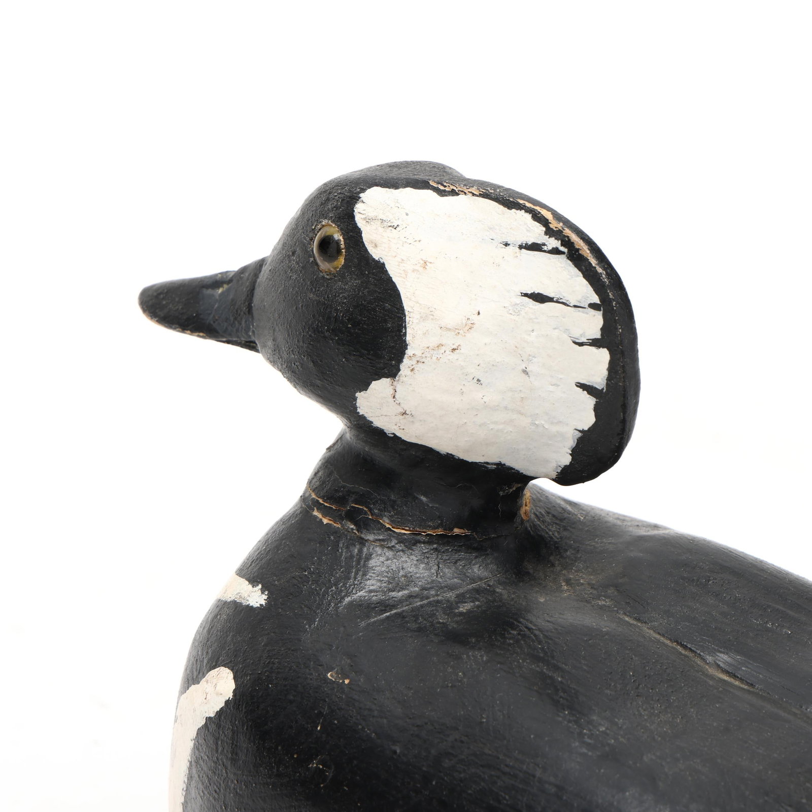 Early Hooded Merganser - 5