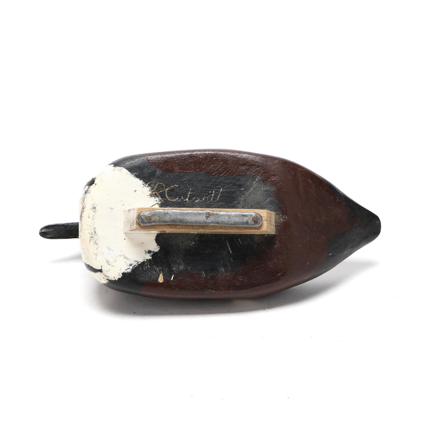 Early Hooded Merganser - 8