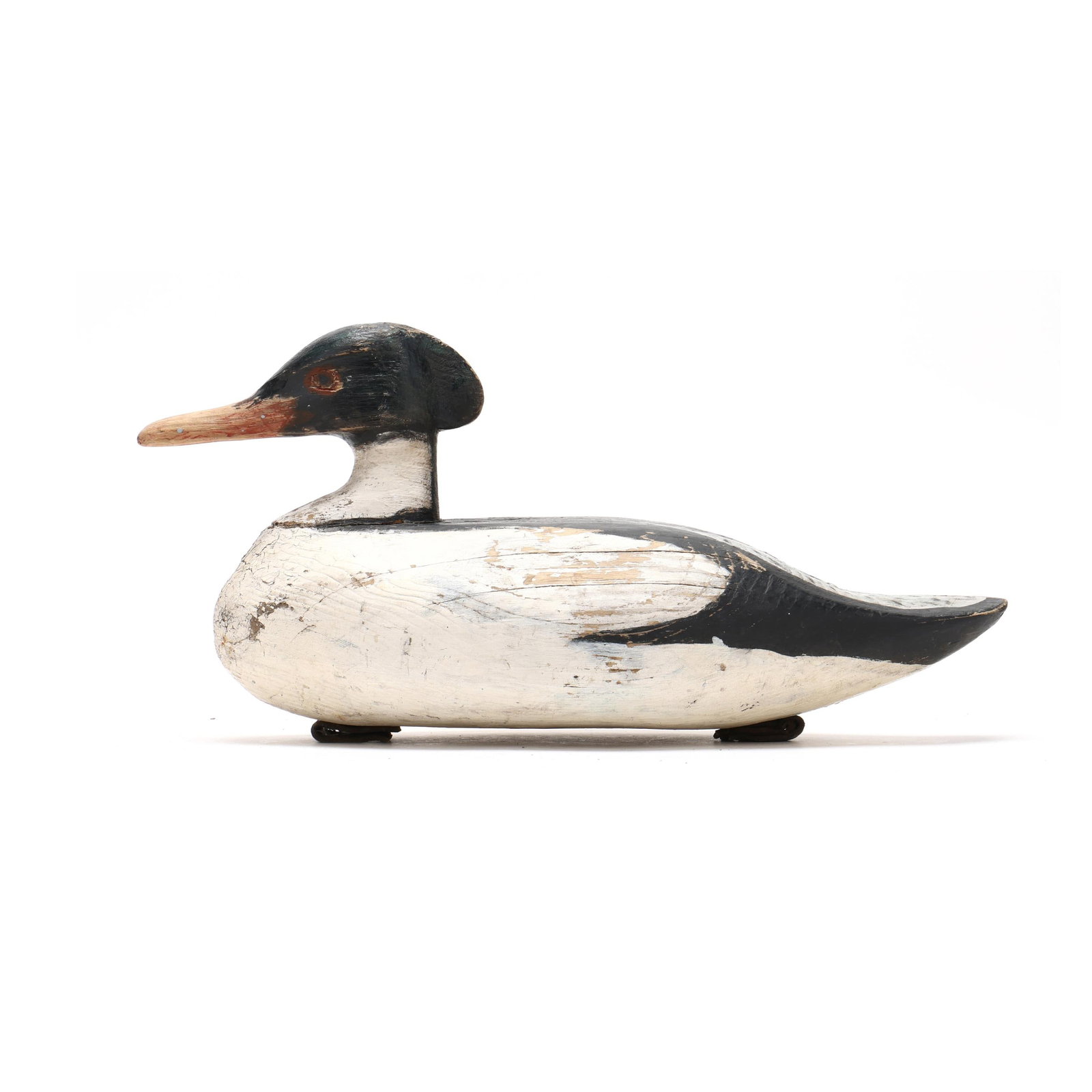 Early Common Merganser - 2