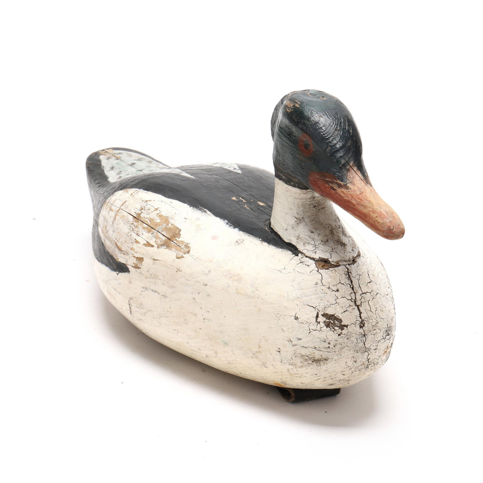 Early Common Merganser - 3