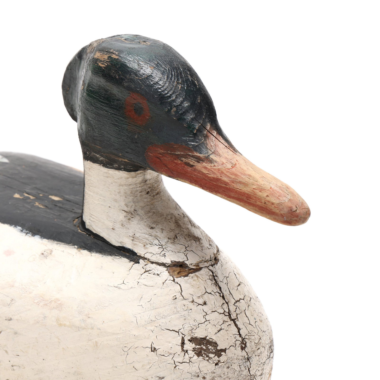 Early Common Merganser - 4