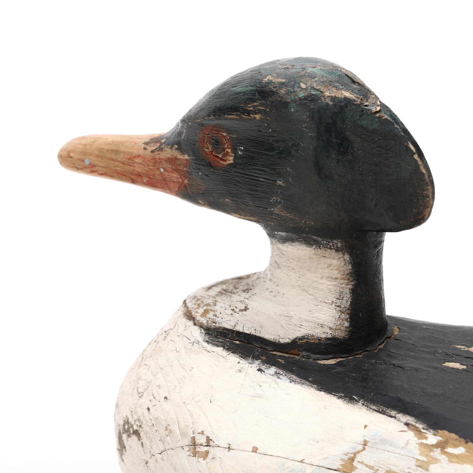 Early Common Merganser - 5