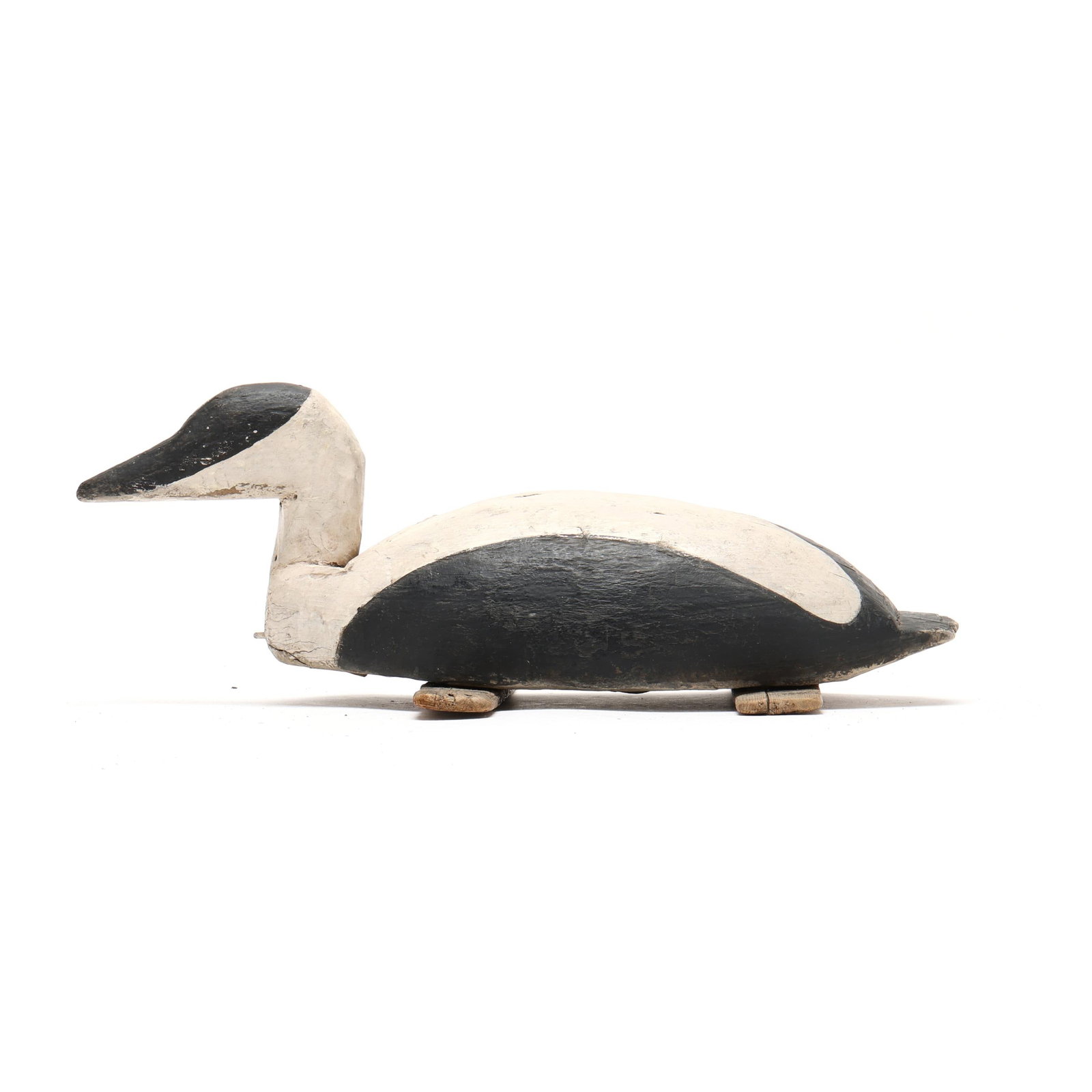Early Eider - 2