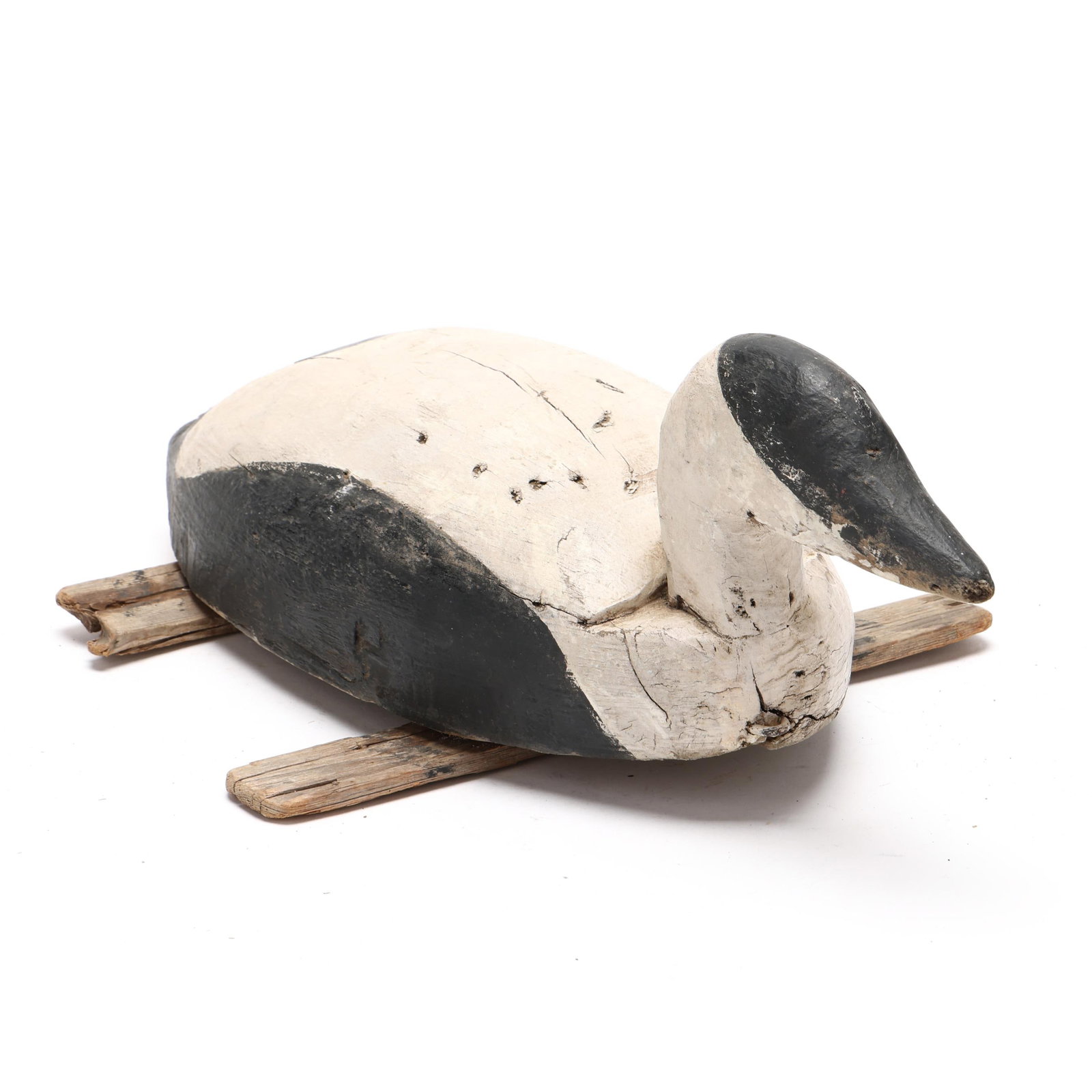 Early Eider - 3