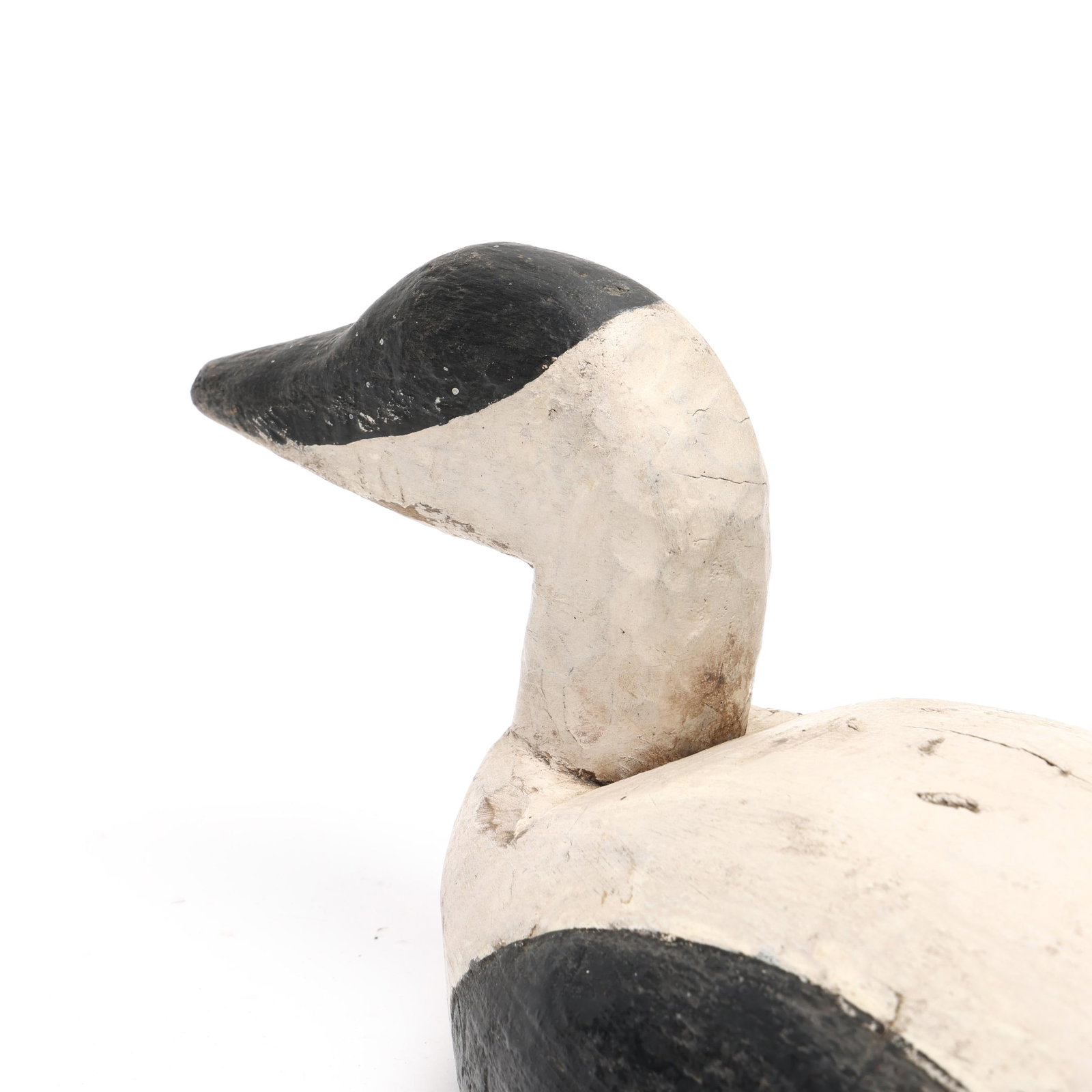 Early Eider - 5