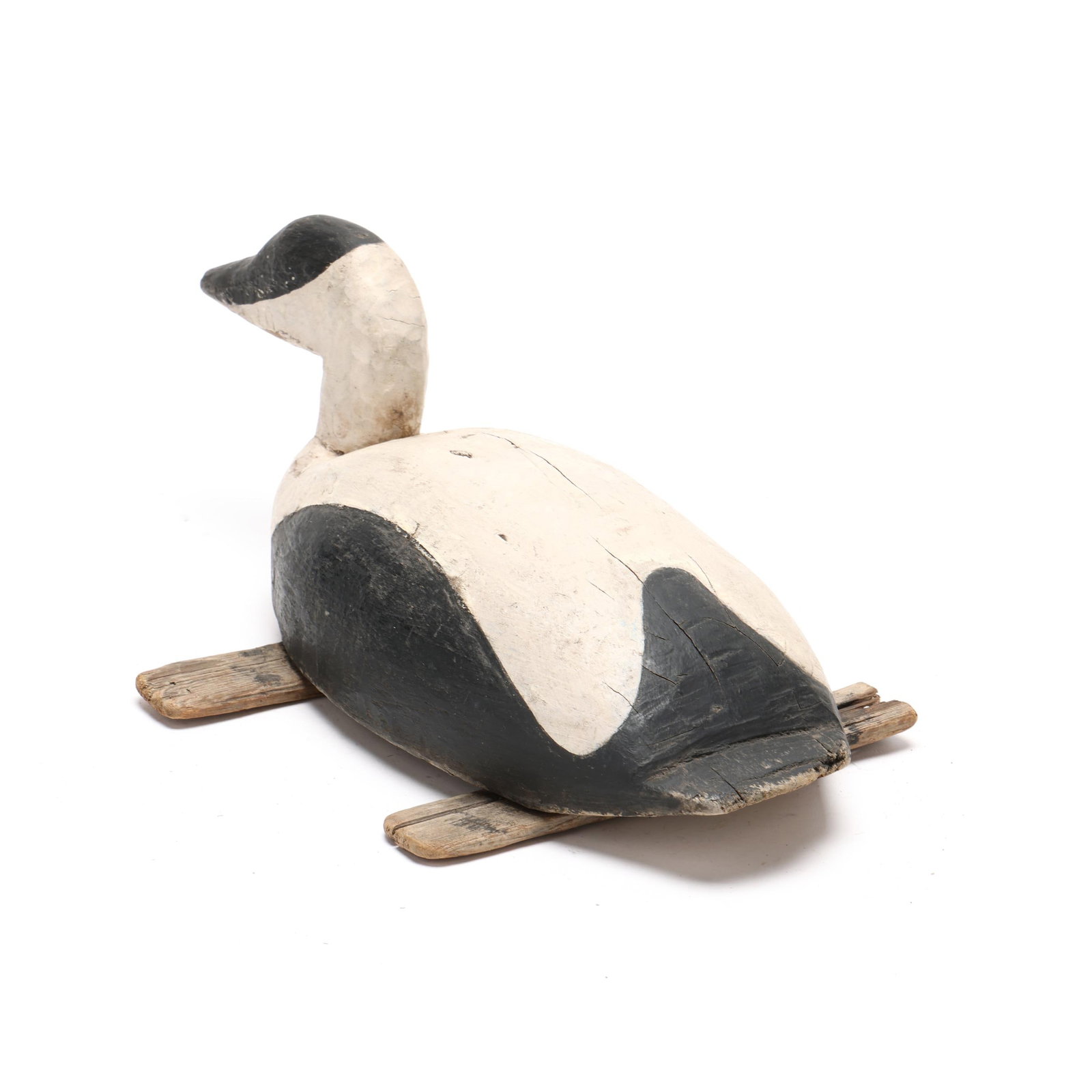 Early Eider - 6