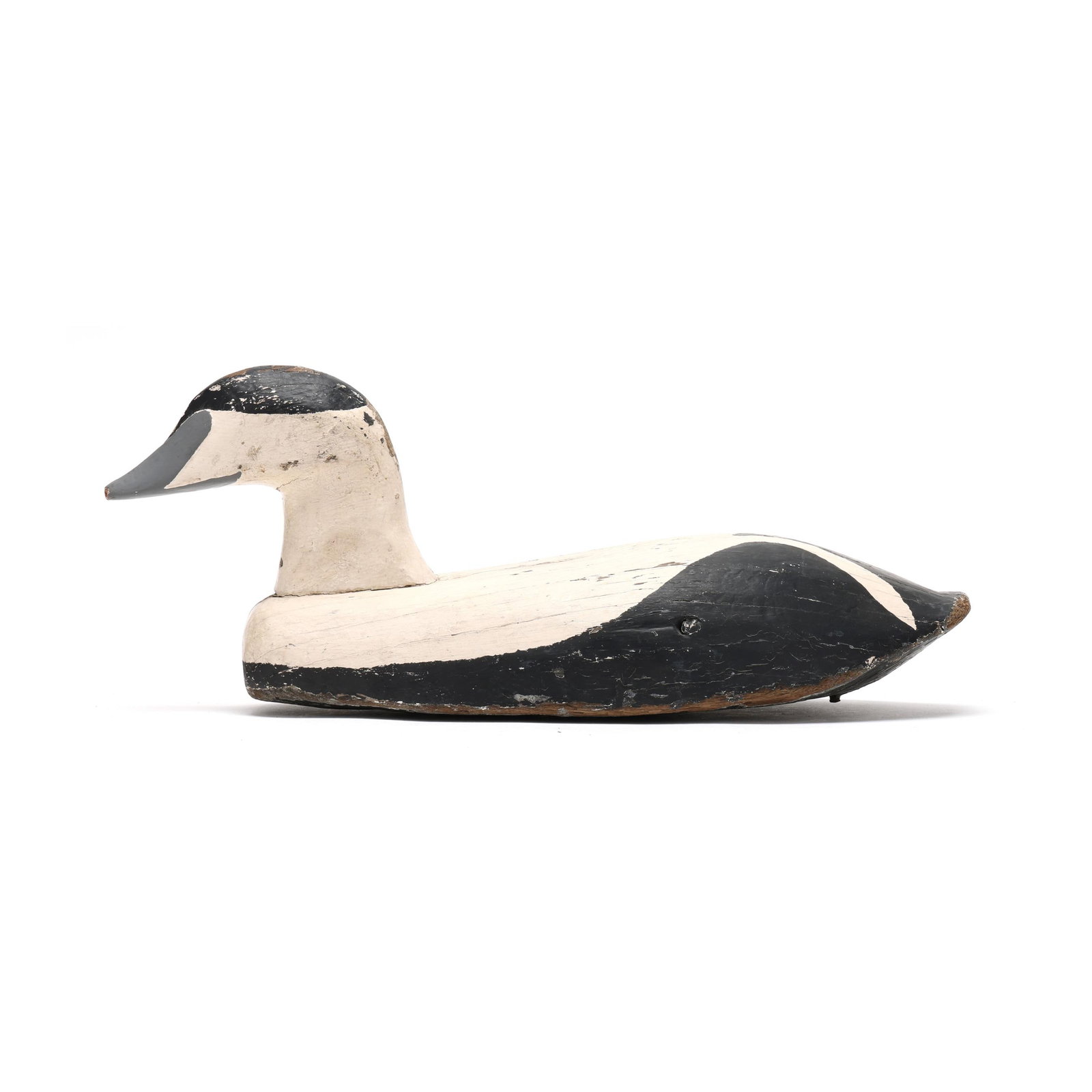 Early Eider - 2