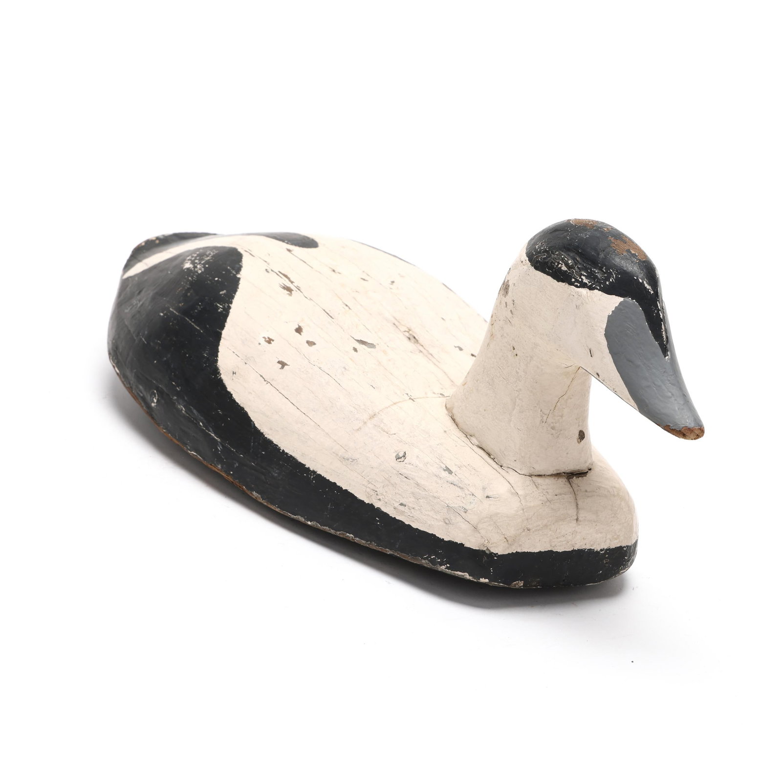 Early Eider - 3
