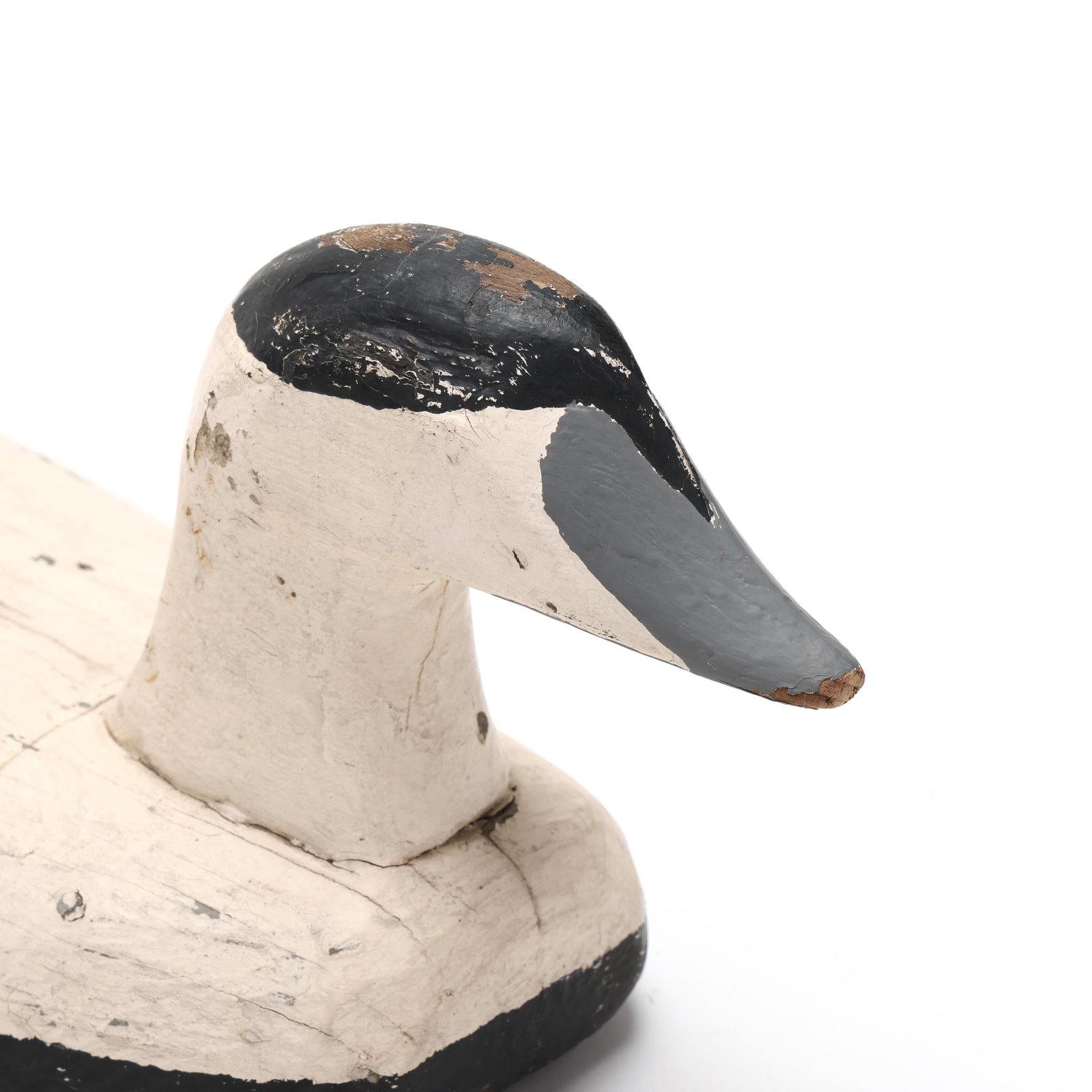 Early Eider - 4