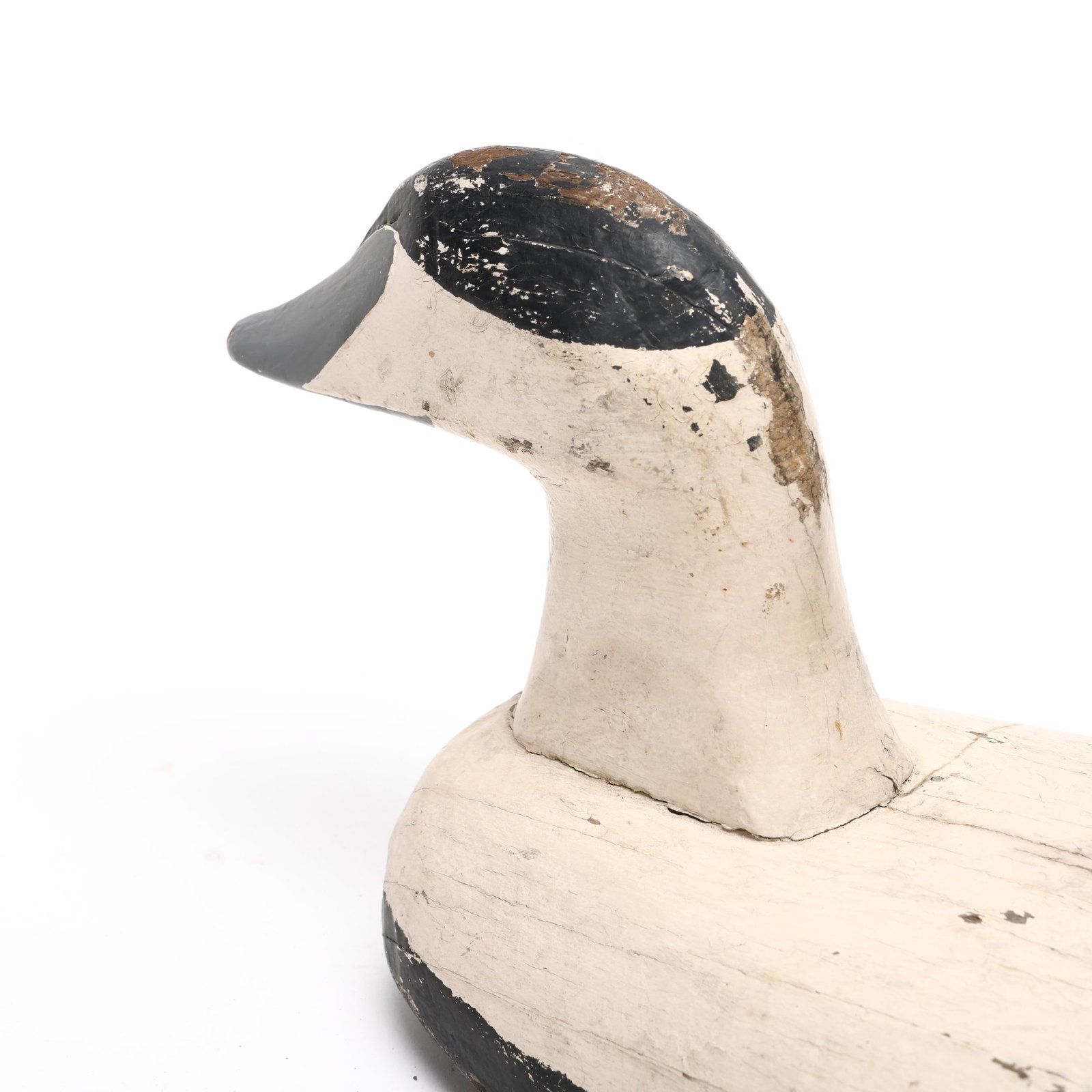 Early Eider - 5