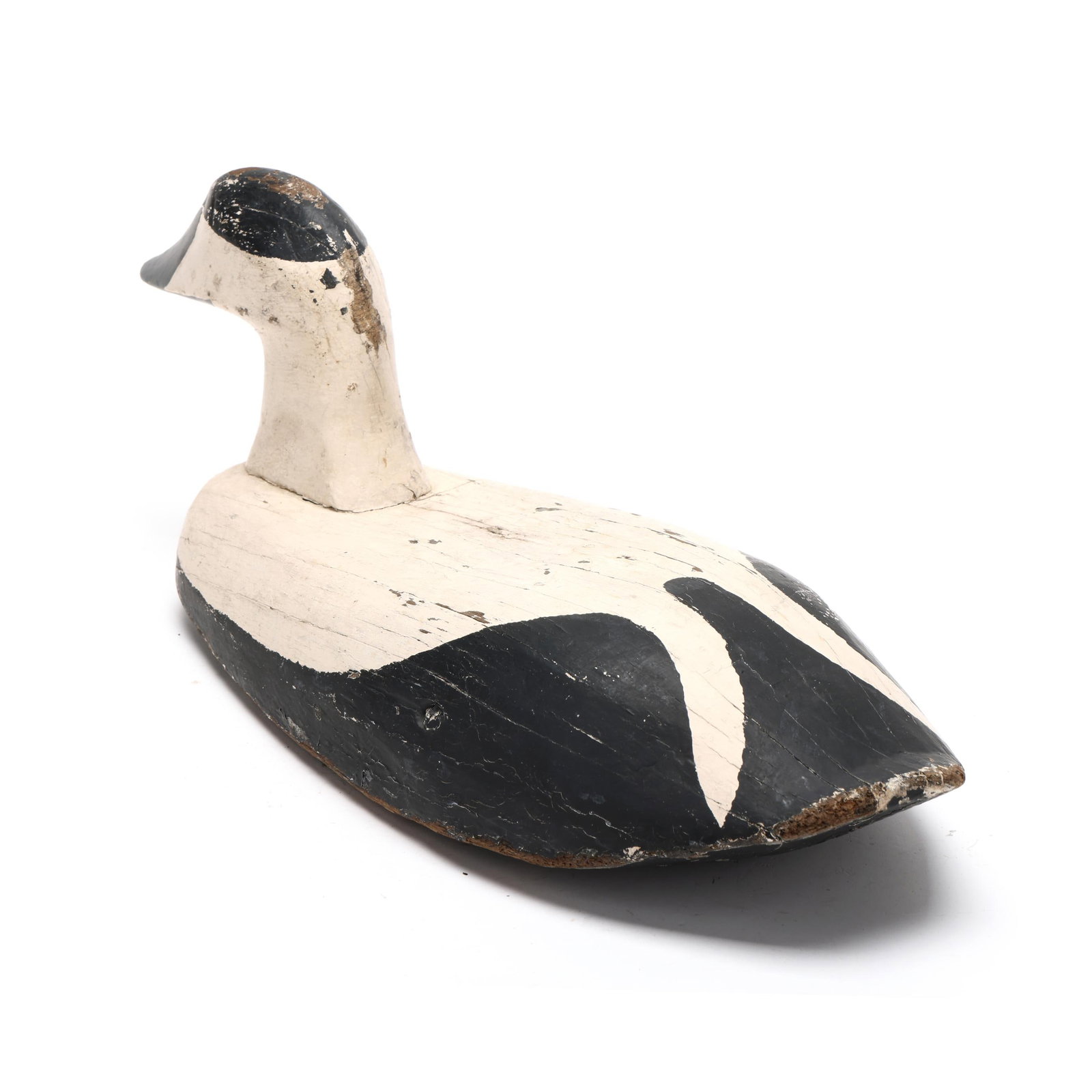 Early Eider - 6