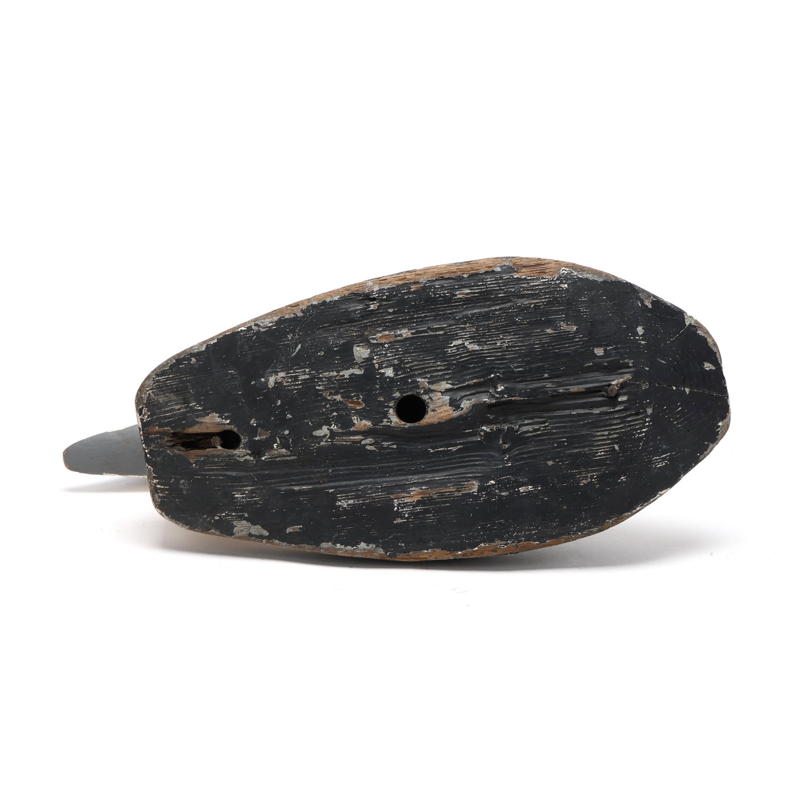 Early Eider - 7