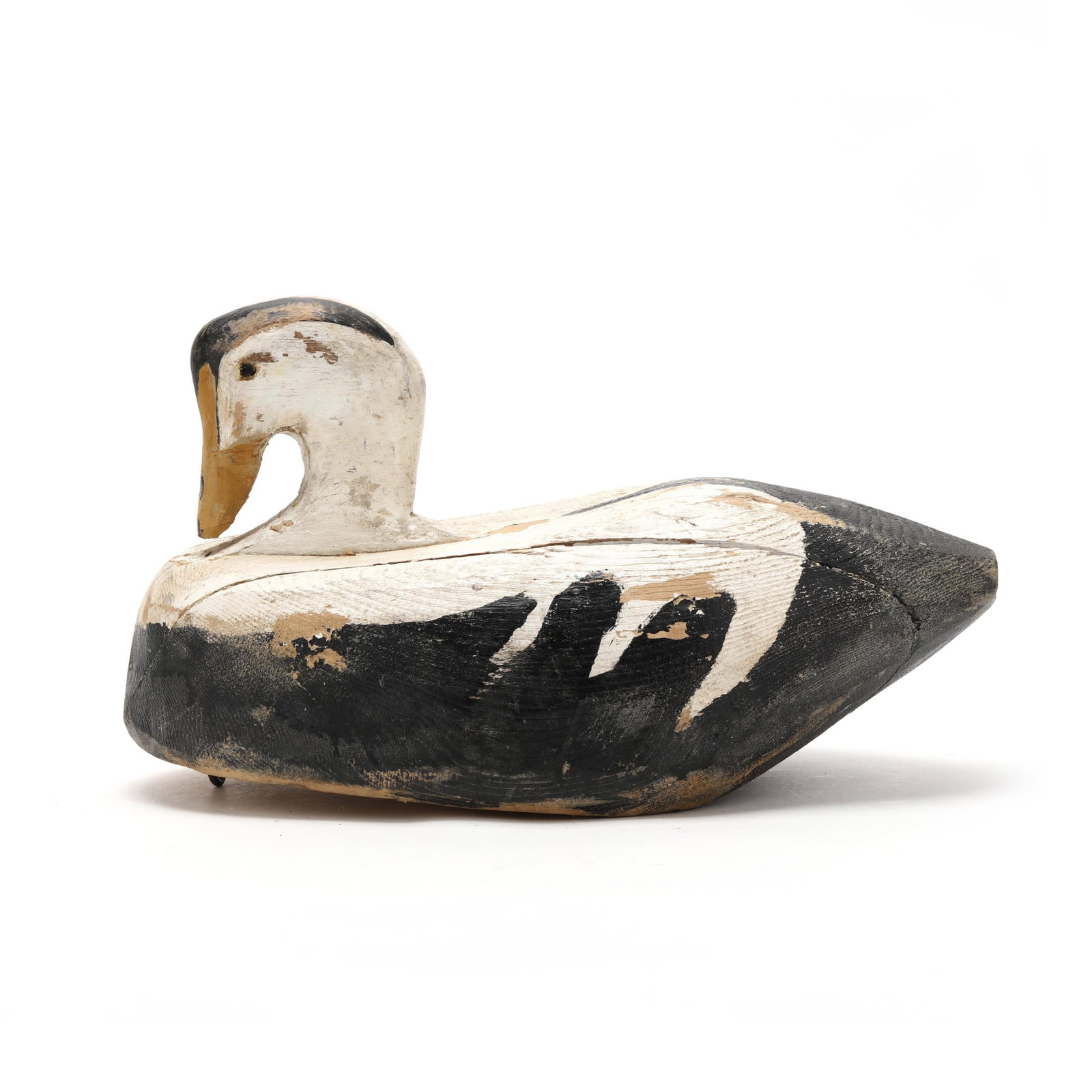 Wayne Stuart (CA), King Eider - 2